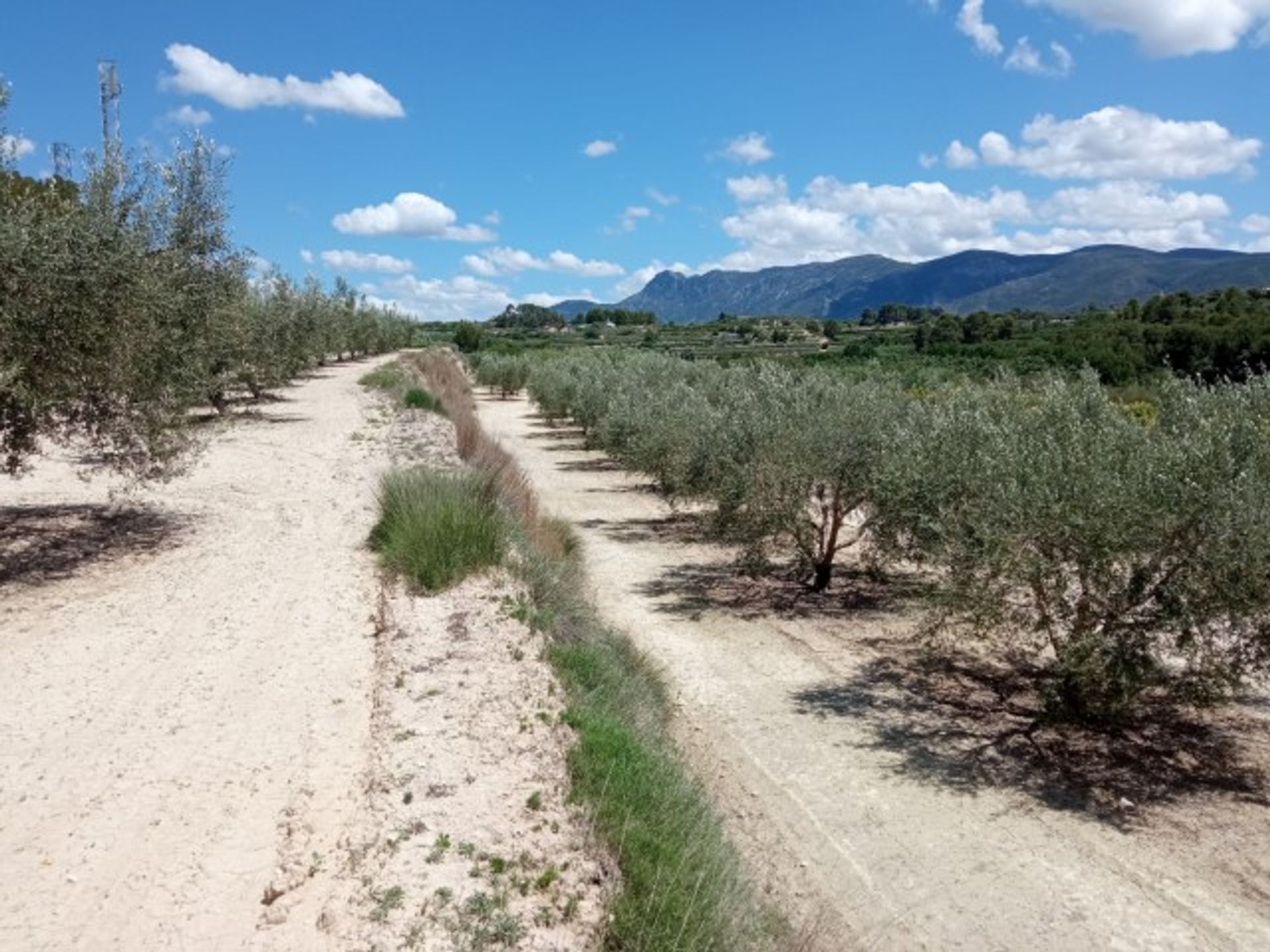 בַּיִת ב Albaida, Province of Valencia, Valencian Community 11866492