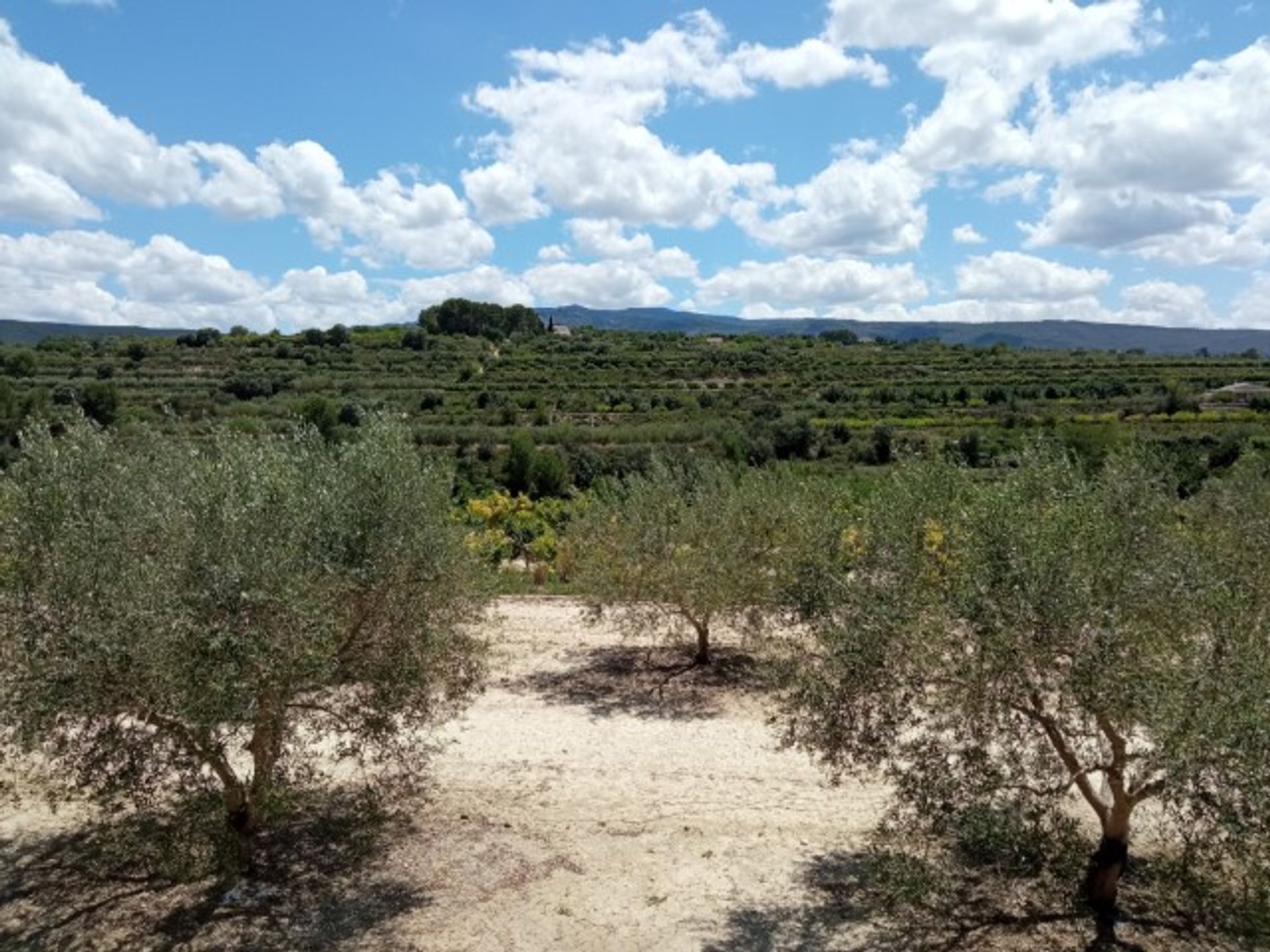 Hus i Albaida, Province of Valencia, Valencian Community 11866492