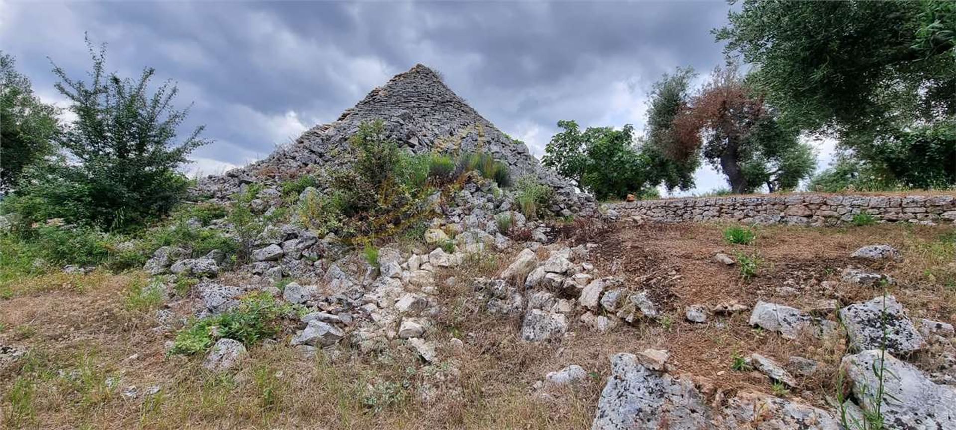 Jord i Monopoli, Puglia 11867088