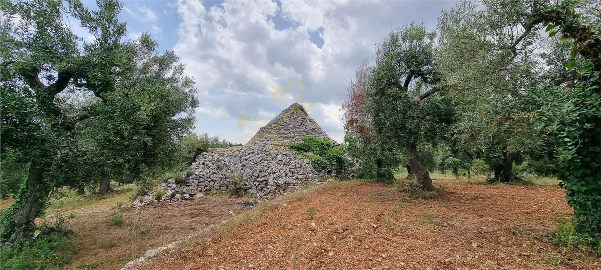 Wylądować w Monopoli, Puglia 11867088