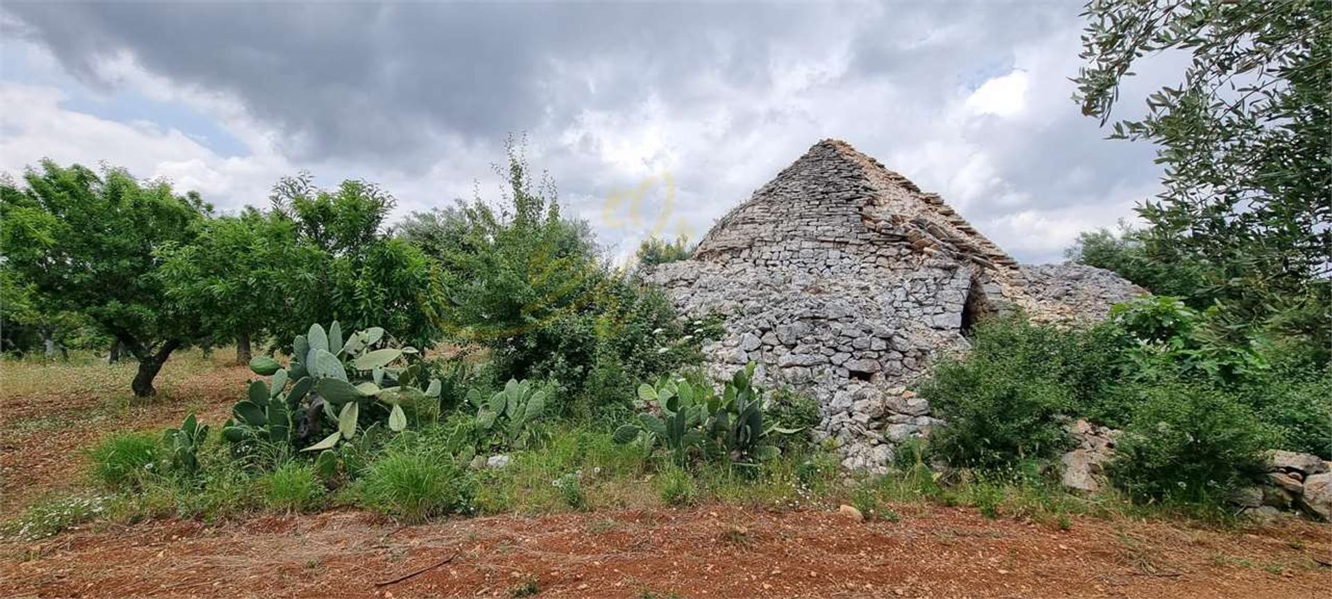 Tanah dalam Monopoli, Puglia 11867088