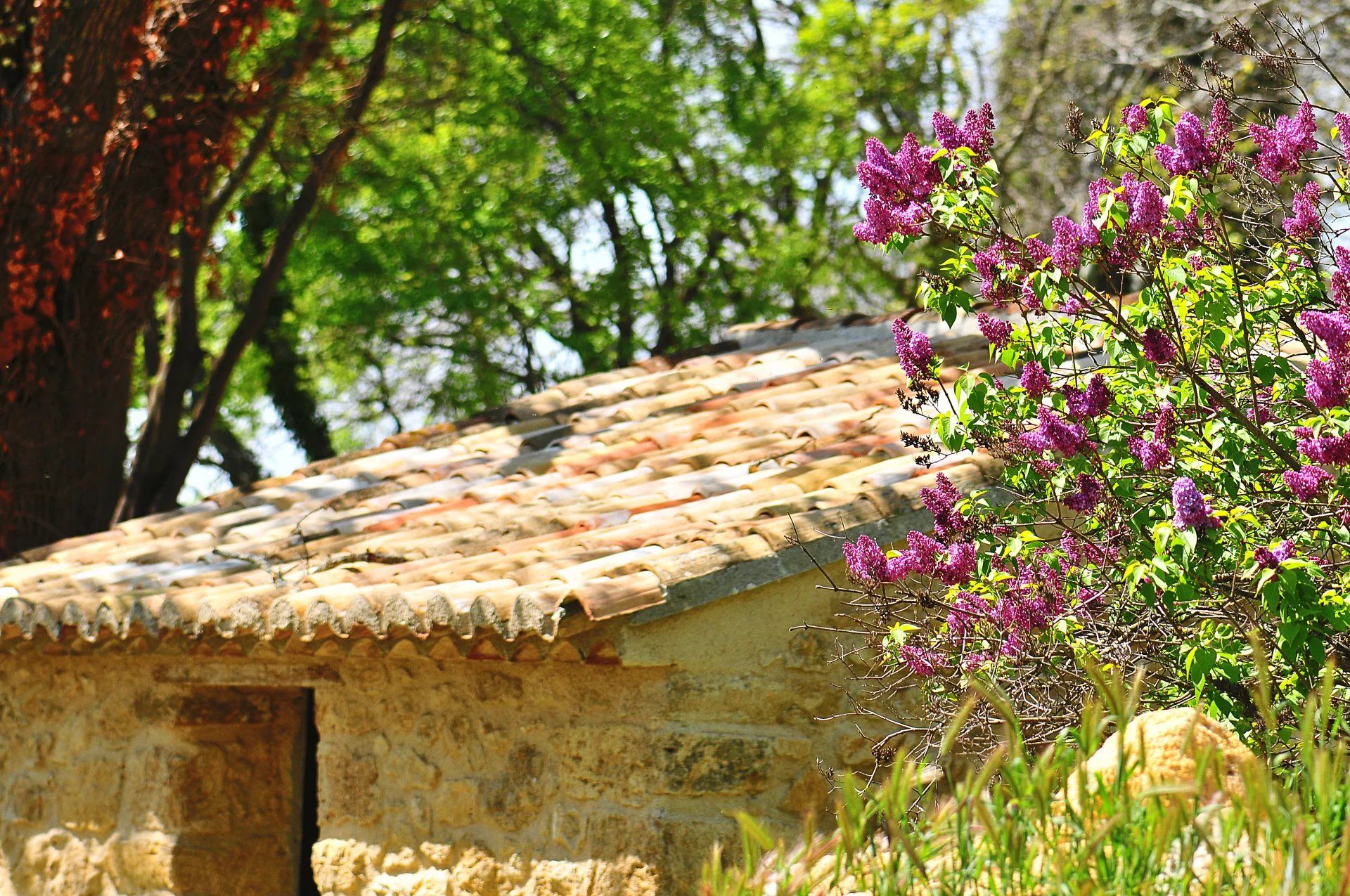 Hus i Les Gervais, Provence-Alpes-Cote d'Azur 11867122