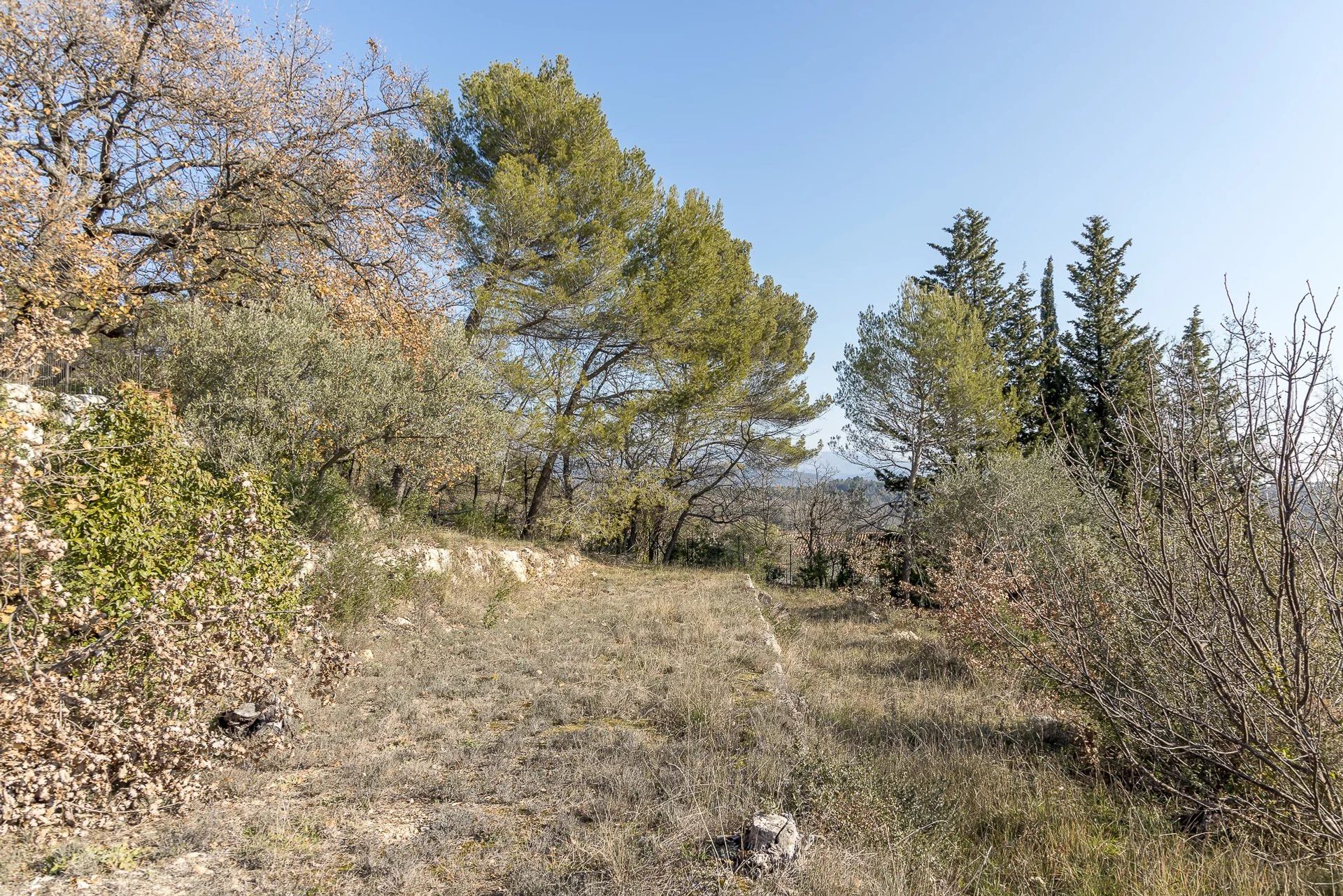 loger dans Tourrettes, Provence-Alpes-Côte d'Azur 11867142