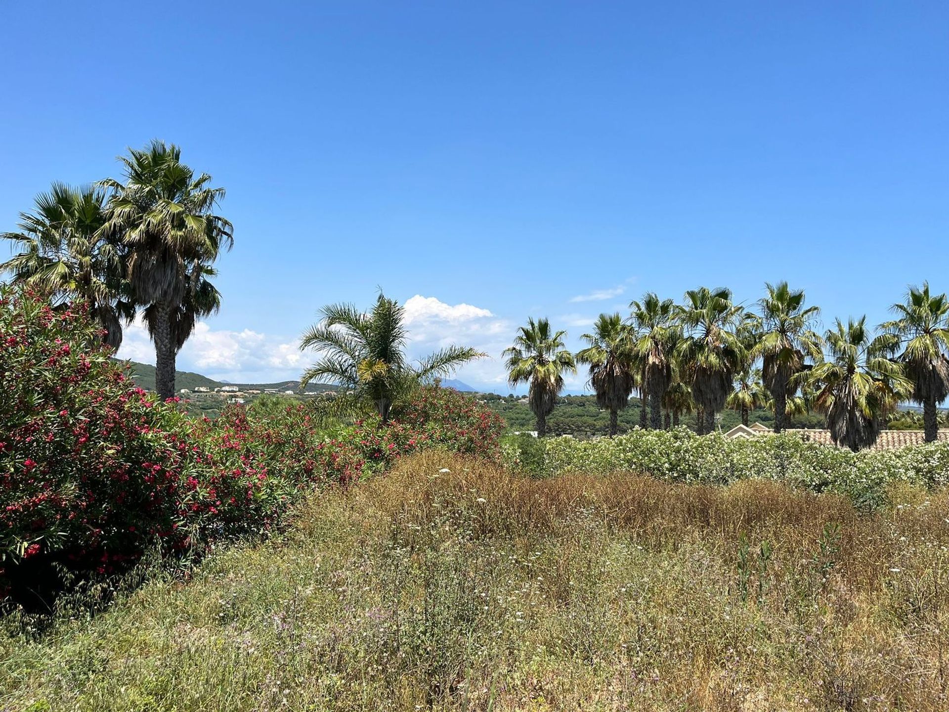 Земельные участки в Sotogrande, Andalusia 11867219