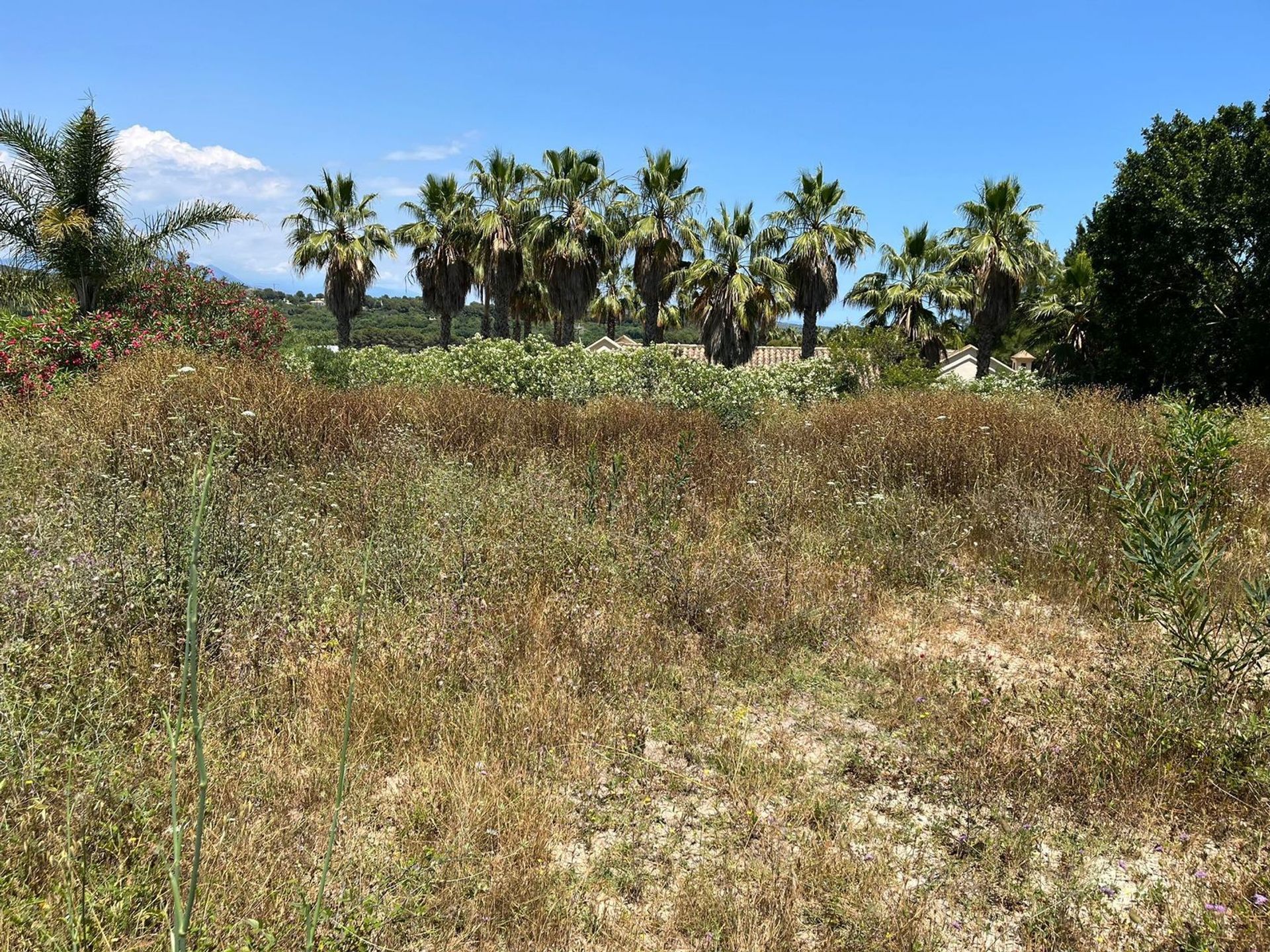 Земельные участки в Sotogrande, Andalusia 11867219