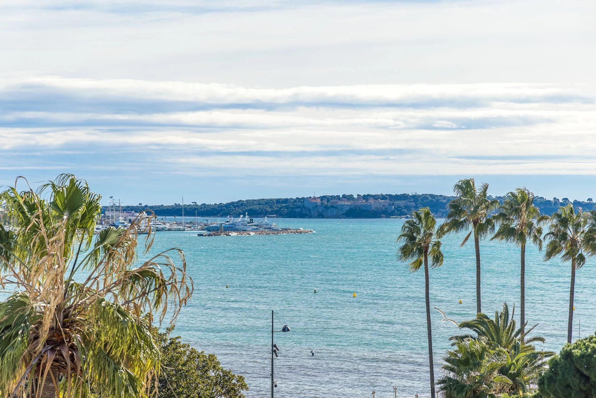 Condomínio no Cannes, Provence-Alpes-Côte d'Azur 11867260