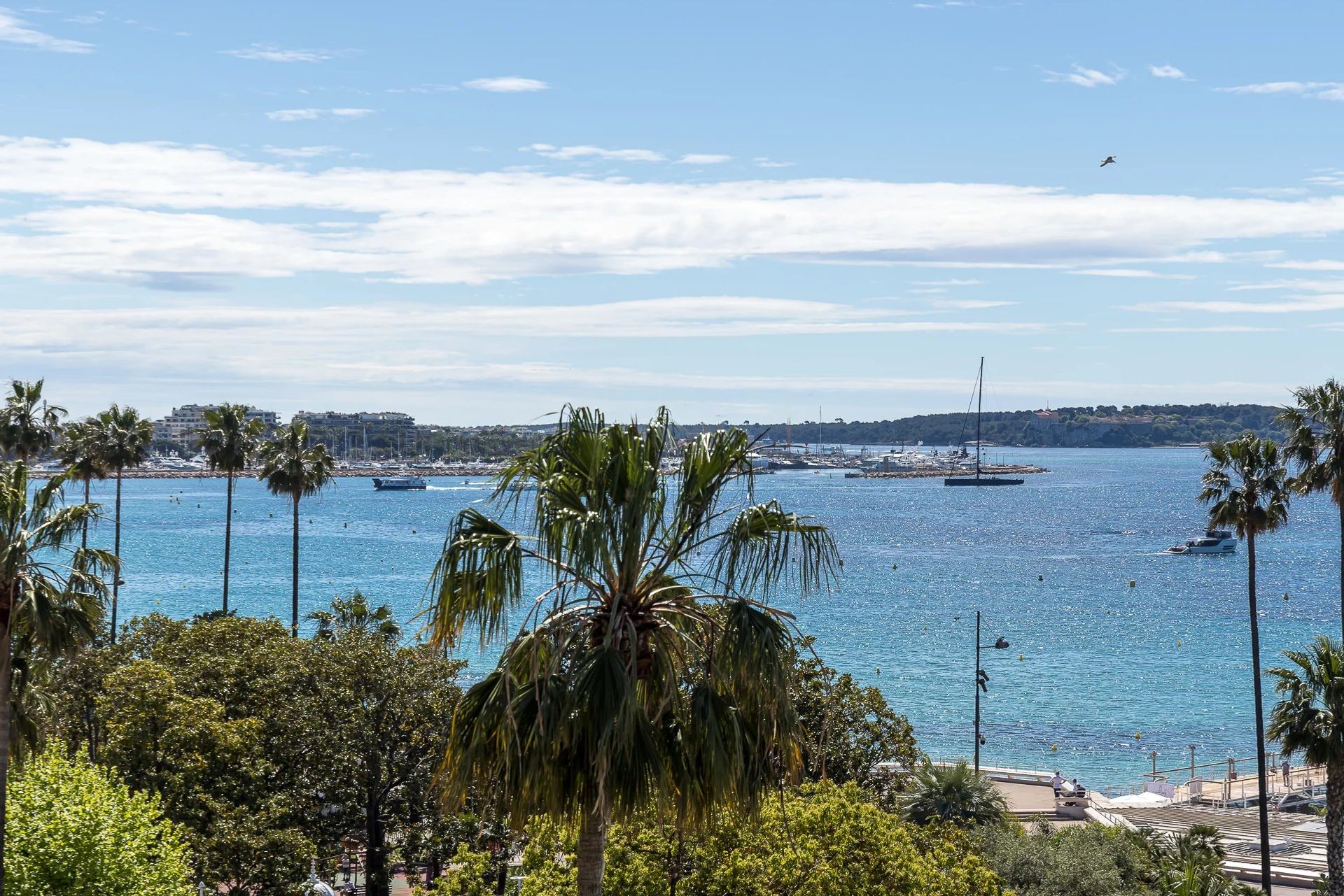 Condomínio no Cannes, Provence-Alpes-Côte d'Azur 11867260