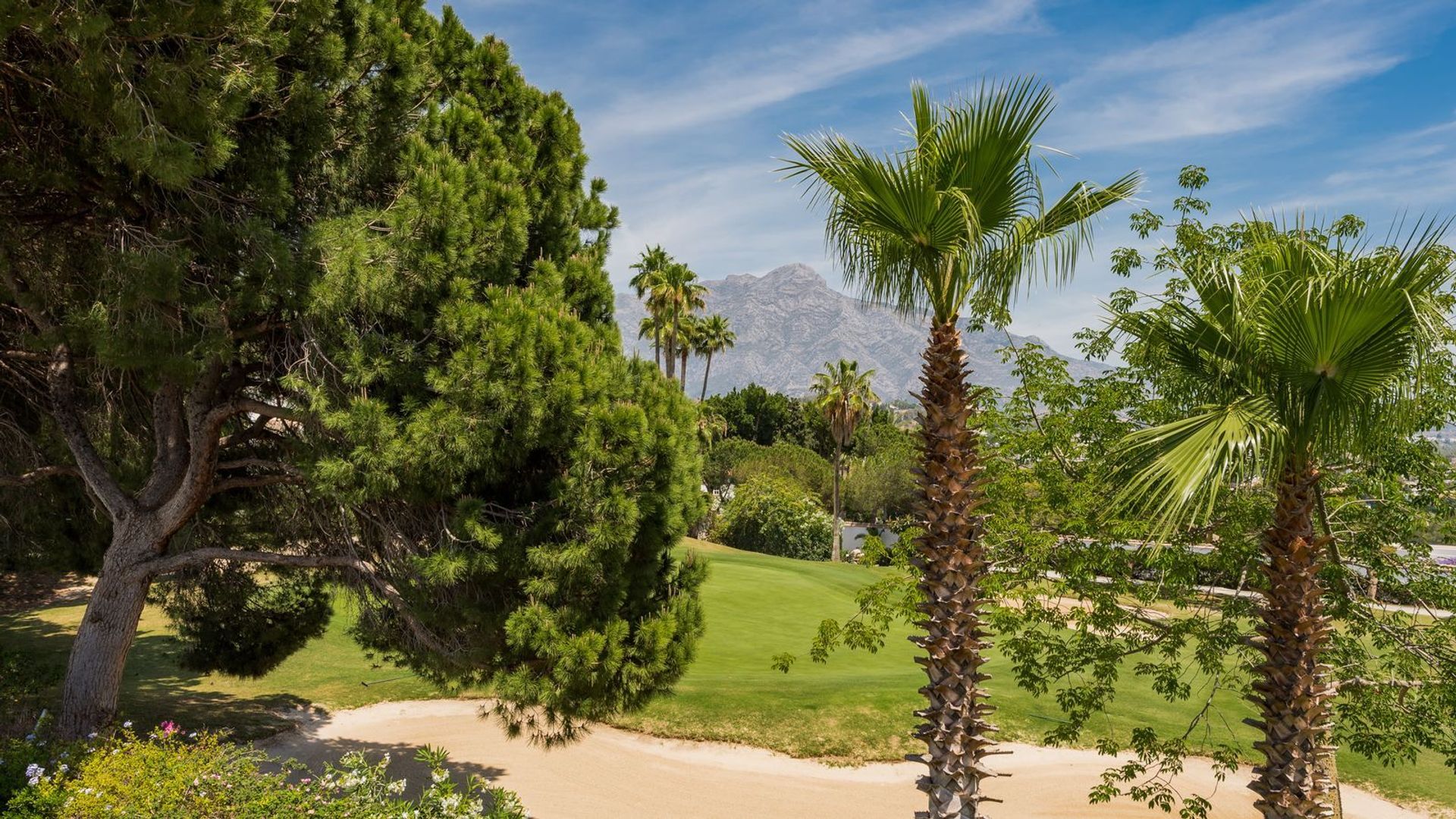 casa no Osuna, Andalucía 11867306