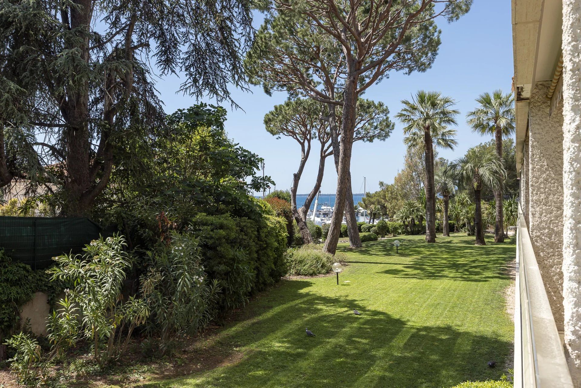 Condominium dans Antibes, Provence-Alpes-Côte d'Azur 11867400