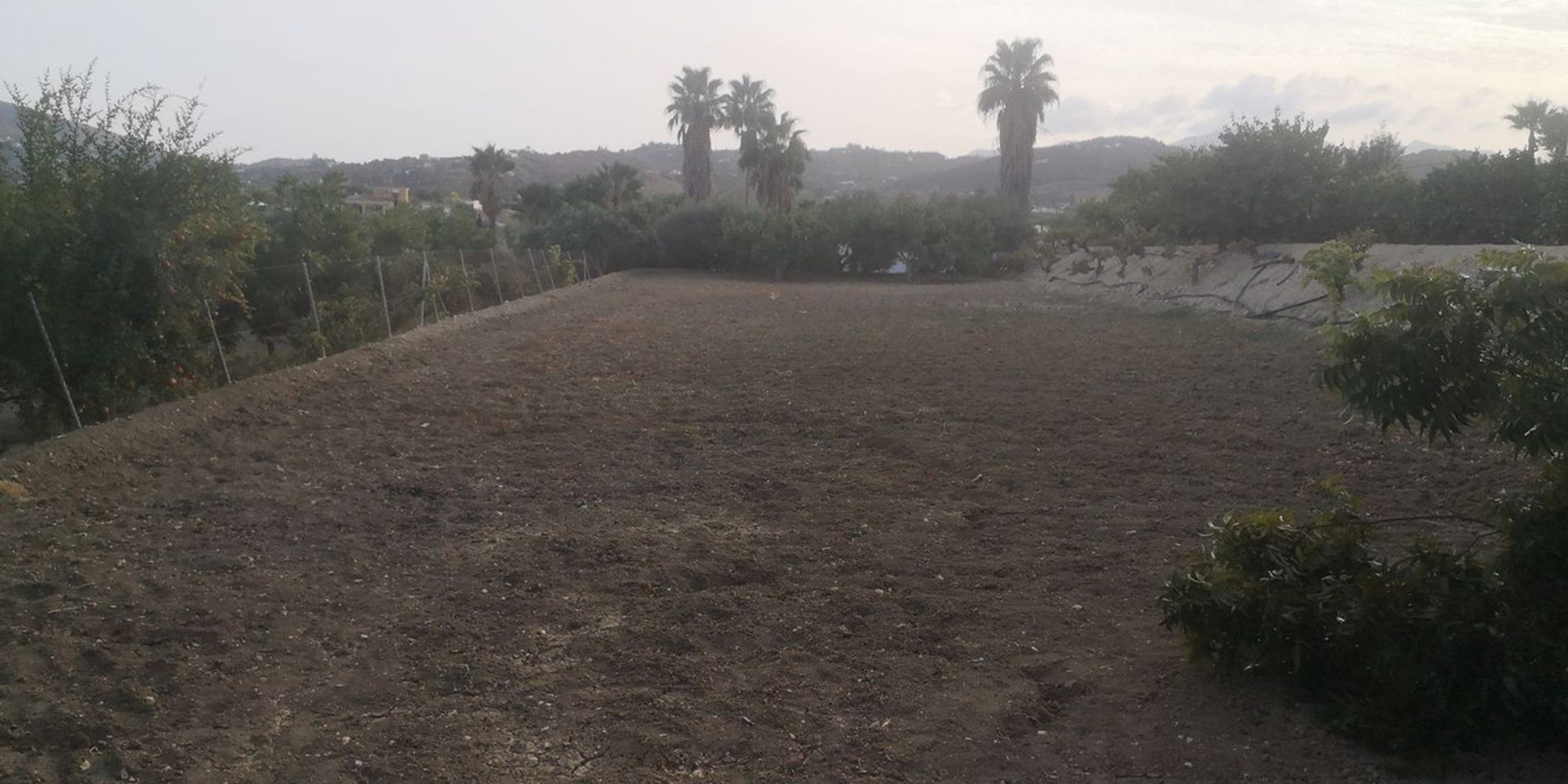 loger dans Alhaurín el Grande, Andalusia 11868386