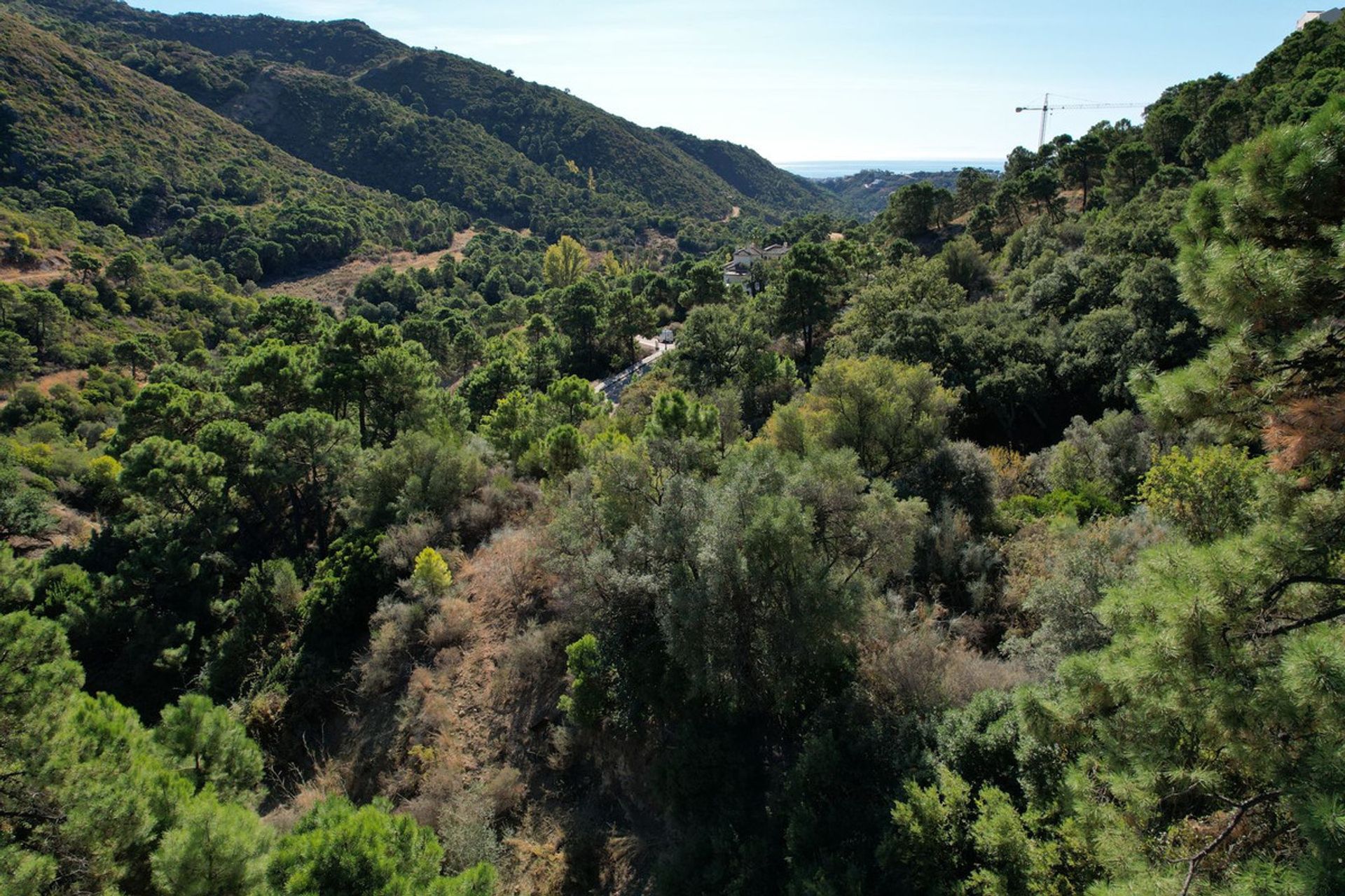 Земельные участки в Benahavís, Andalusia 11868480