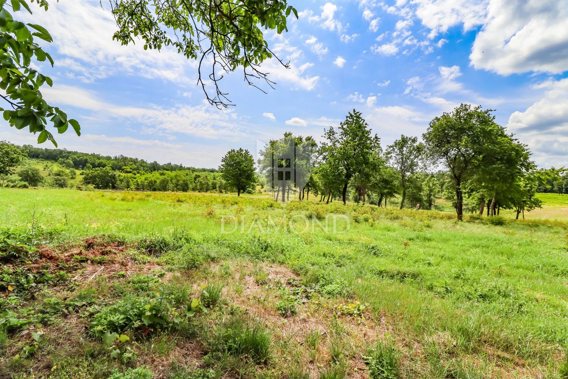 Land in Poreč, Istria County 11873050