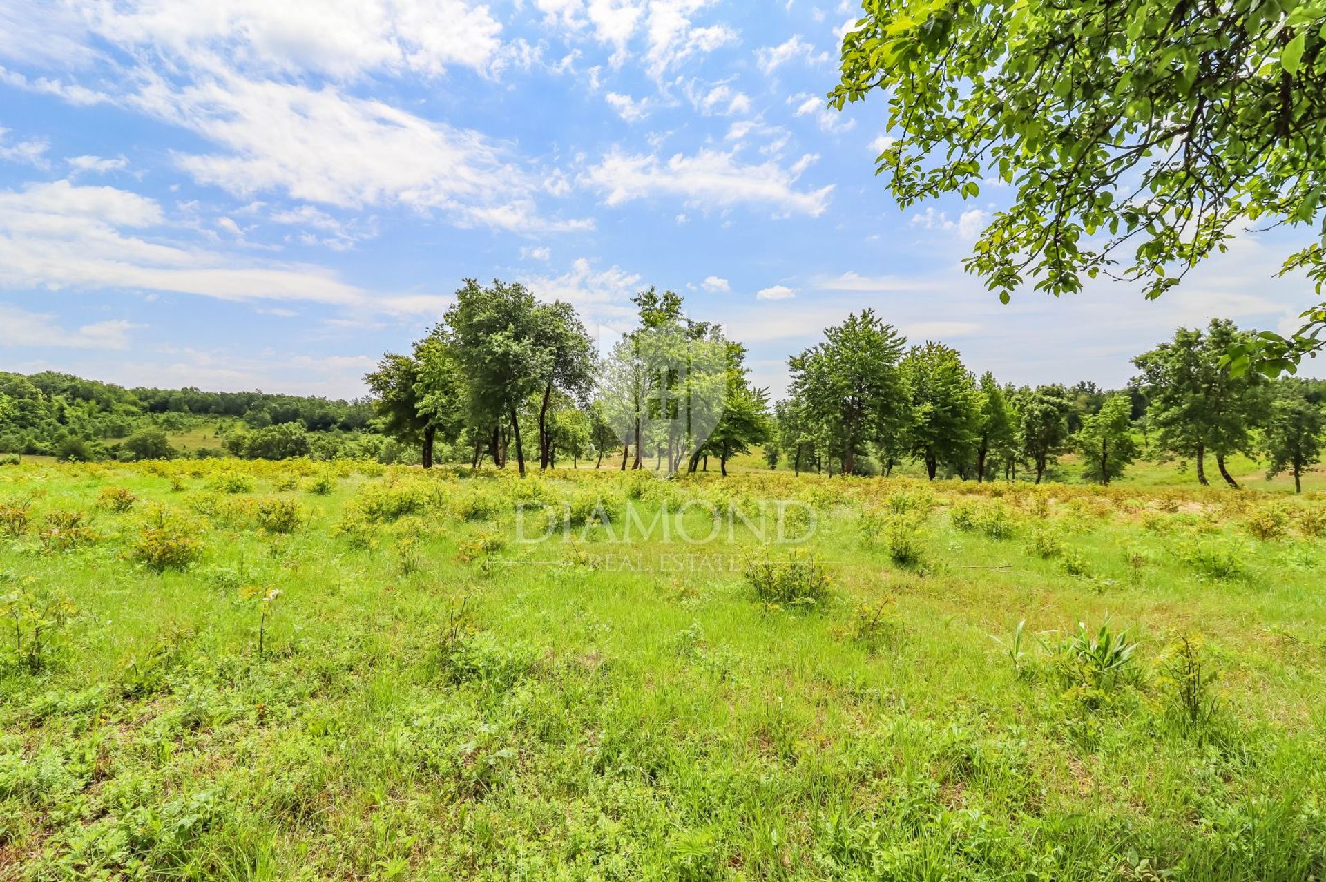 Land in Poreč, Istria County 11873052