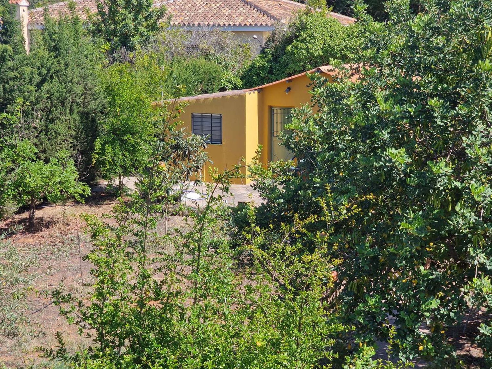 House in Alhaurín de la Torre, Andalusia 11874425