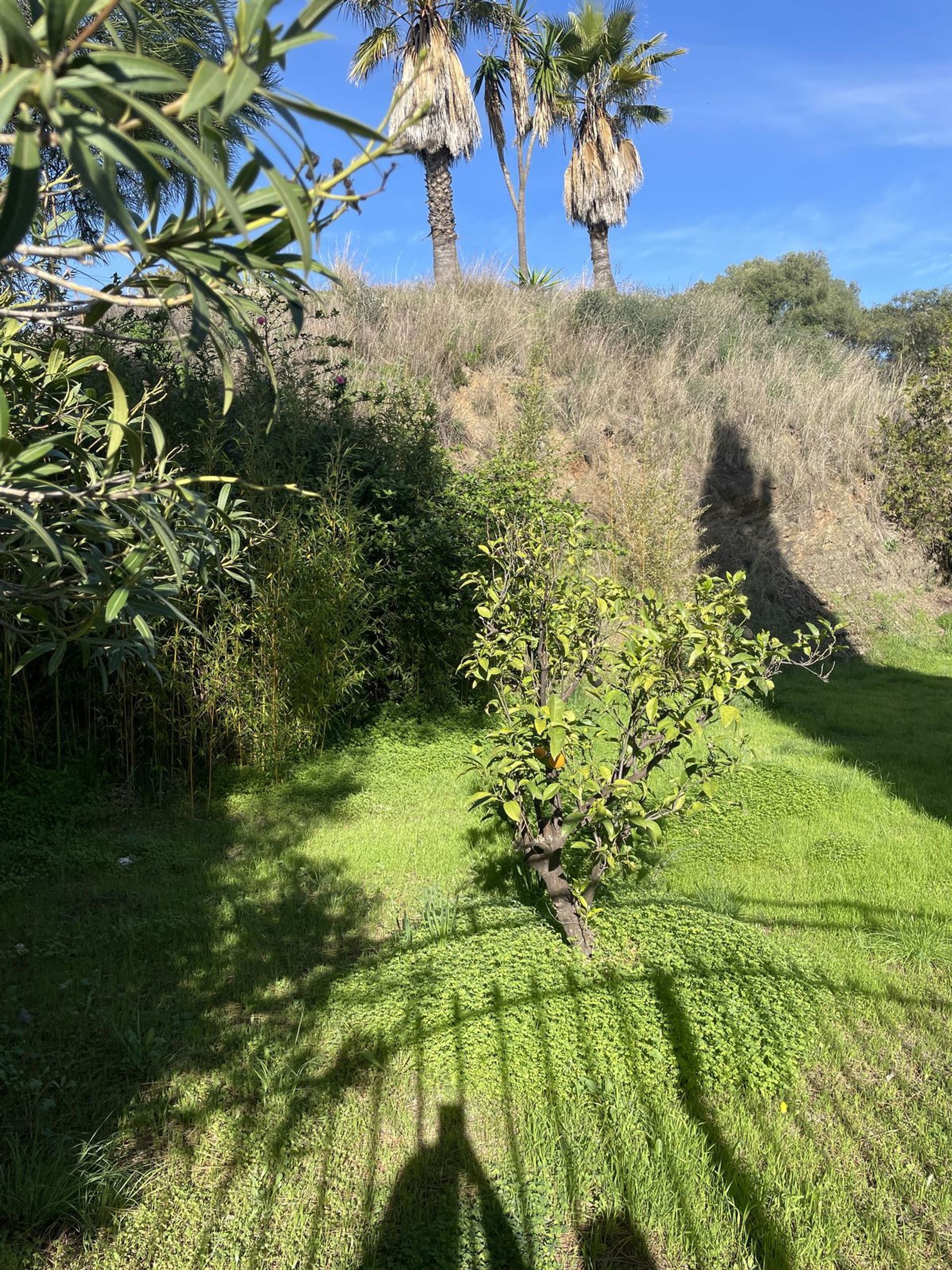 Terra no Marbelha, Andaluzia 11875302