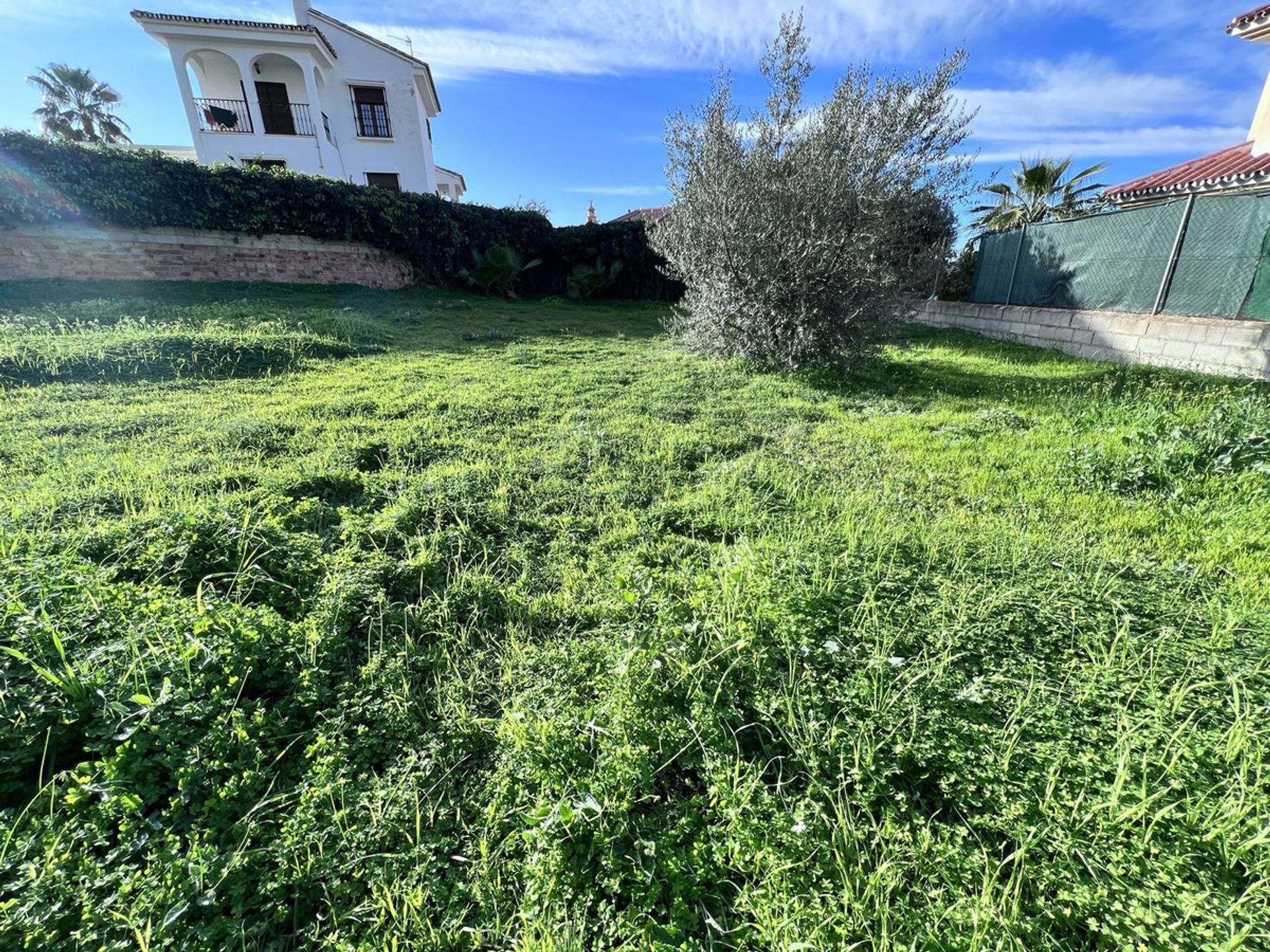 Land i Alhaurín de la Torre, Andalucía 11876007