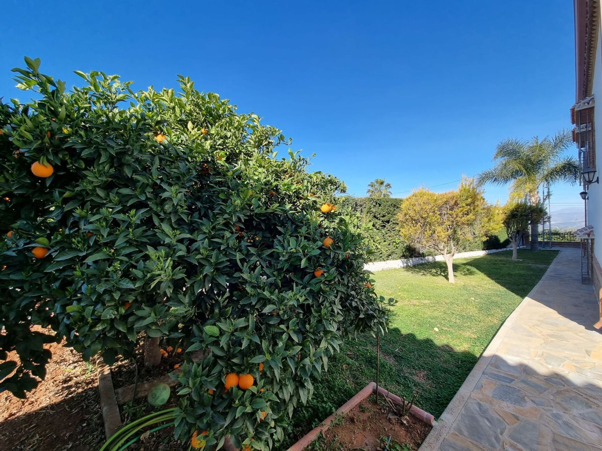 casa en Alhaurín el Grande, Andalucía 11876314