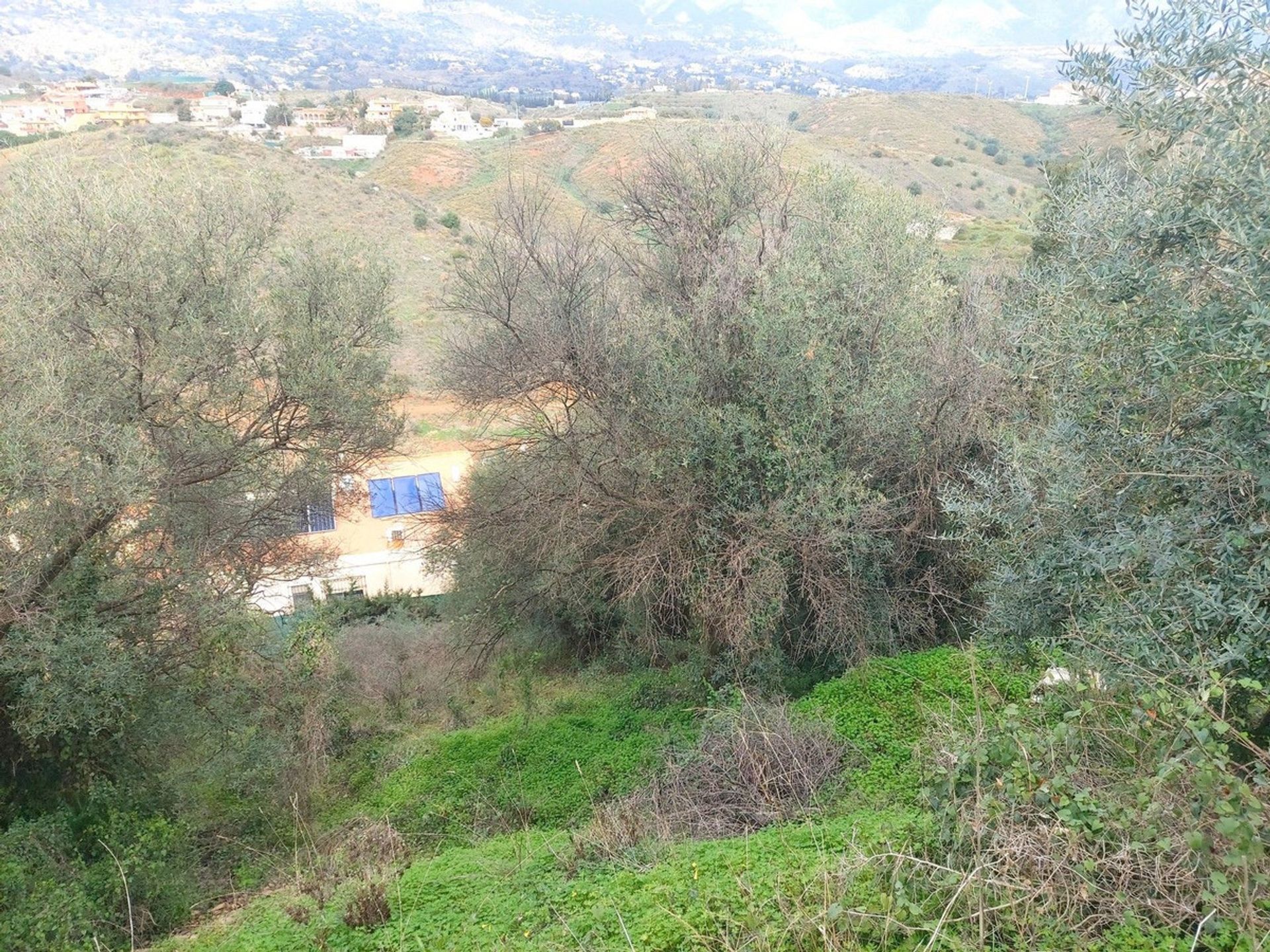 Tanah dalam Mijas, Andalusia 11876376