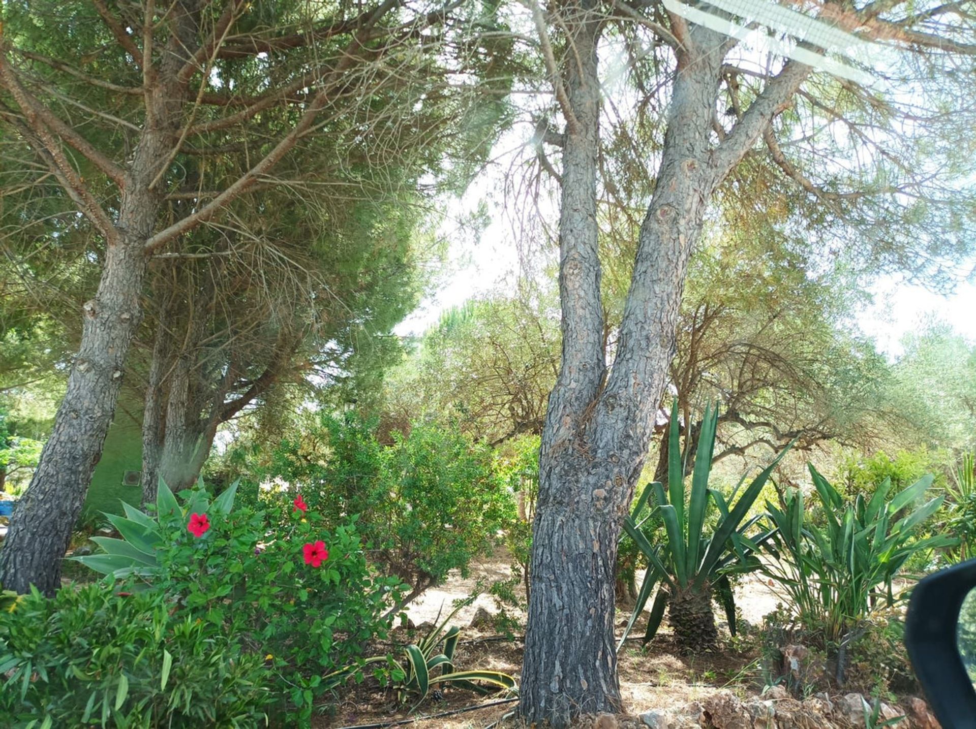 Rumah di Alhaurín el Grande, Andalusia 11876382