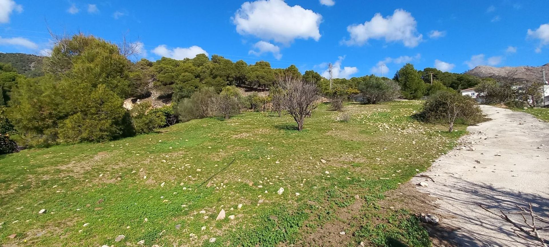 Tanah dalam Mijas, Andalusia 11876396