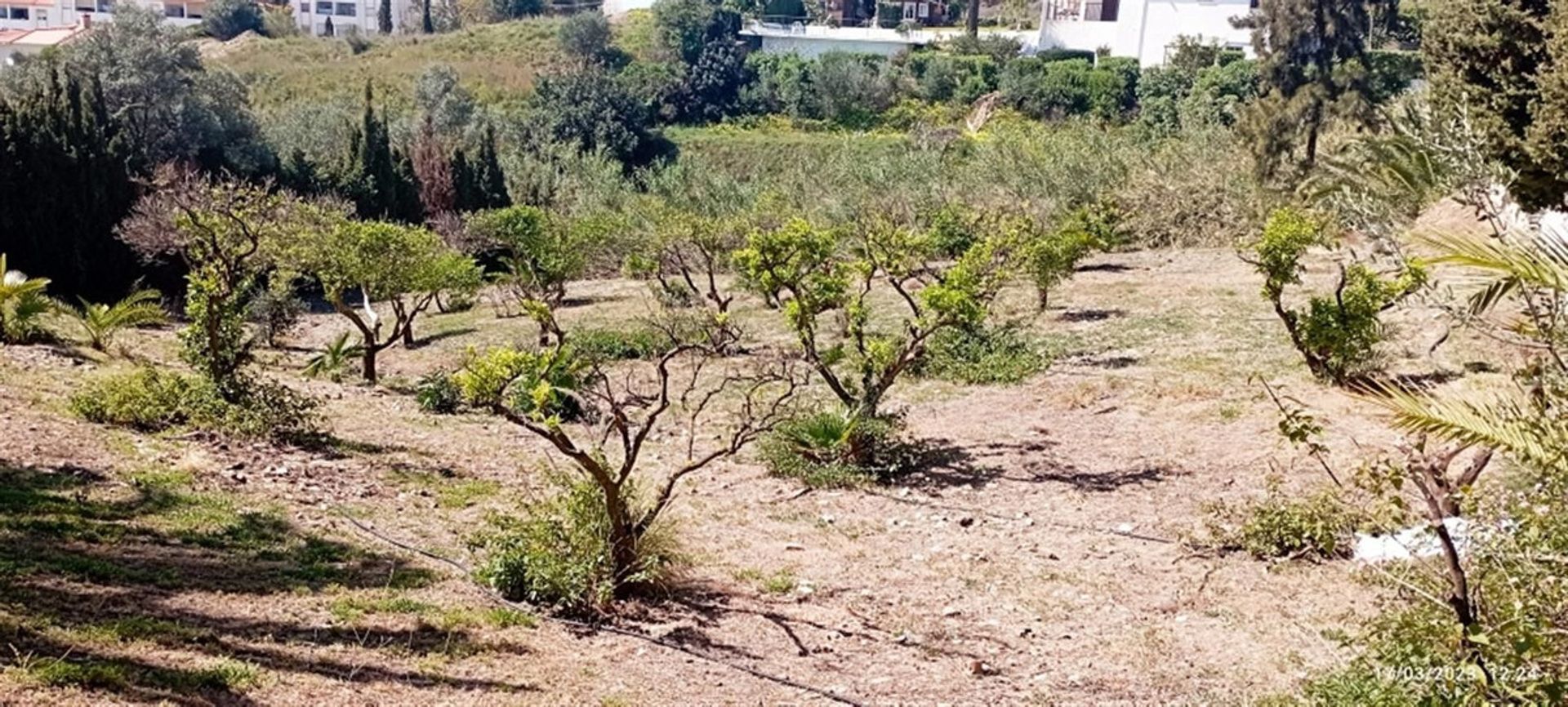 집 에 Benalmádena, Andalucía 11876665