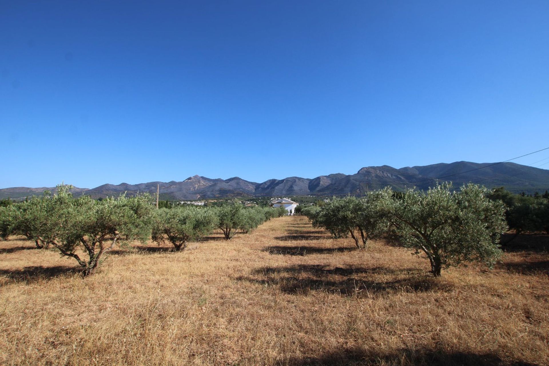 House in Alhaurin el Grande, Andalusia 11876952