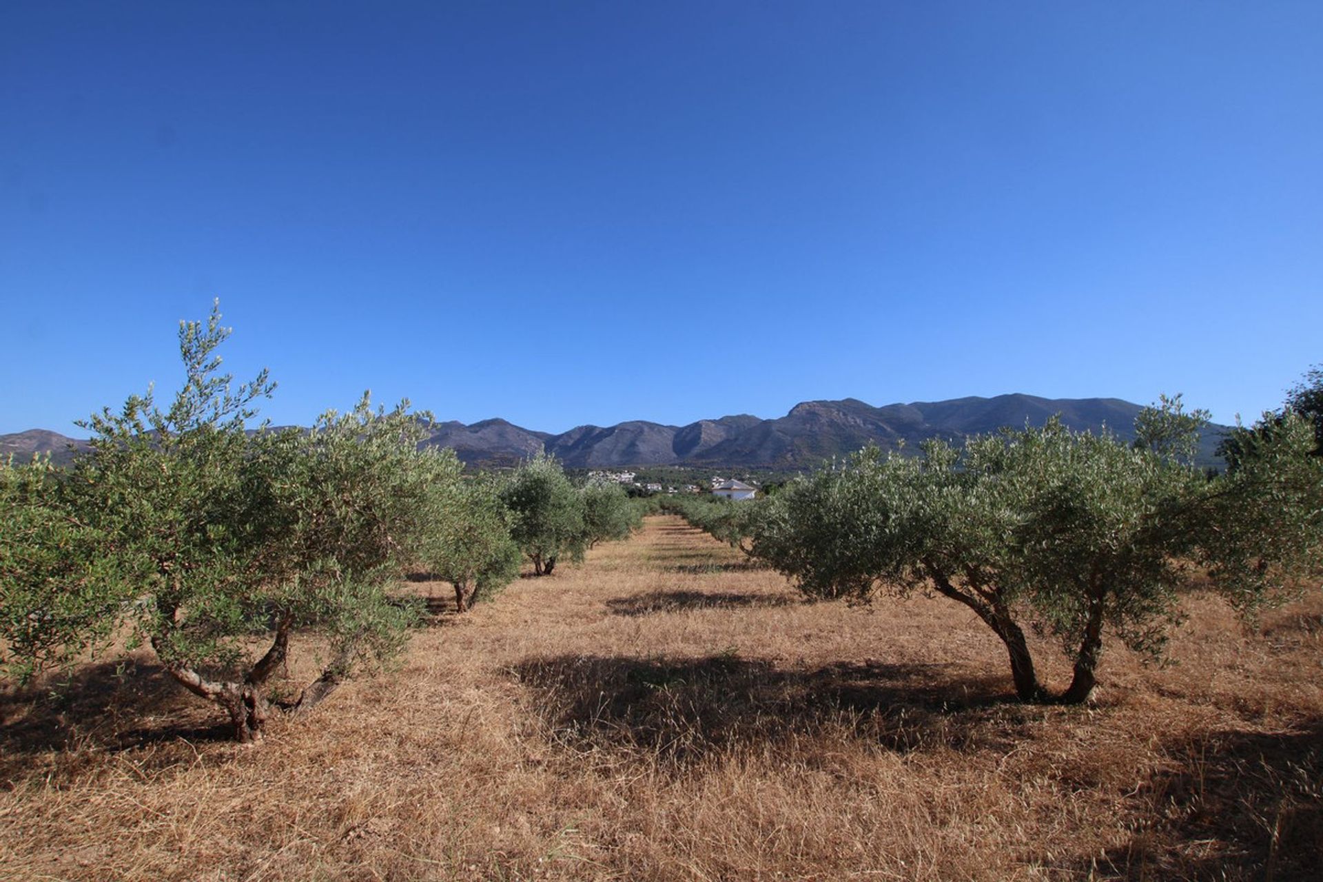 House in Alhaurin el Grande, Andalusia 11876952