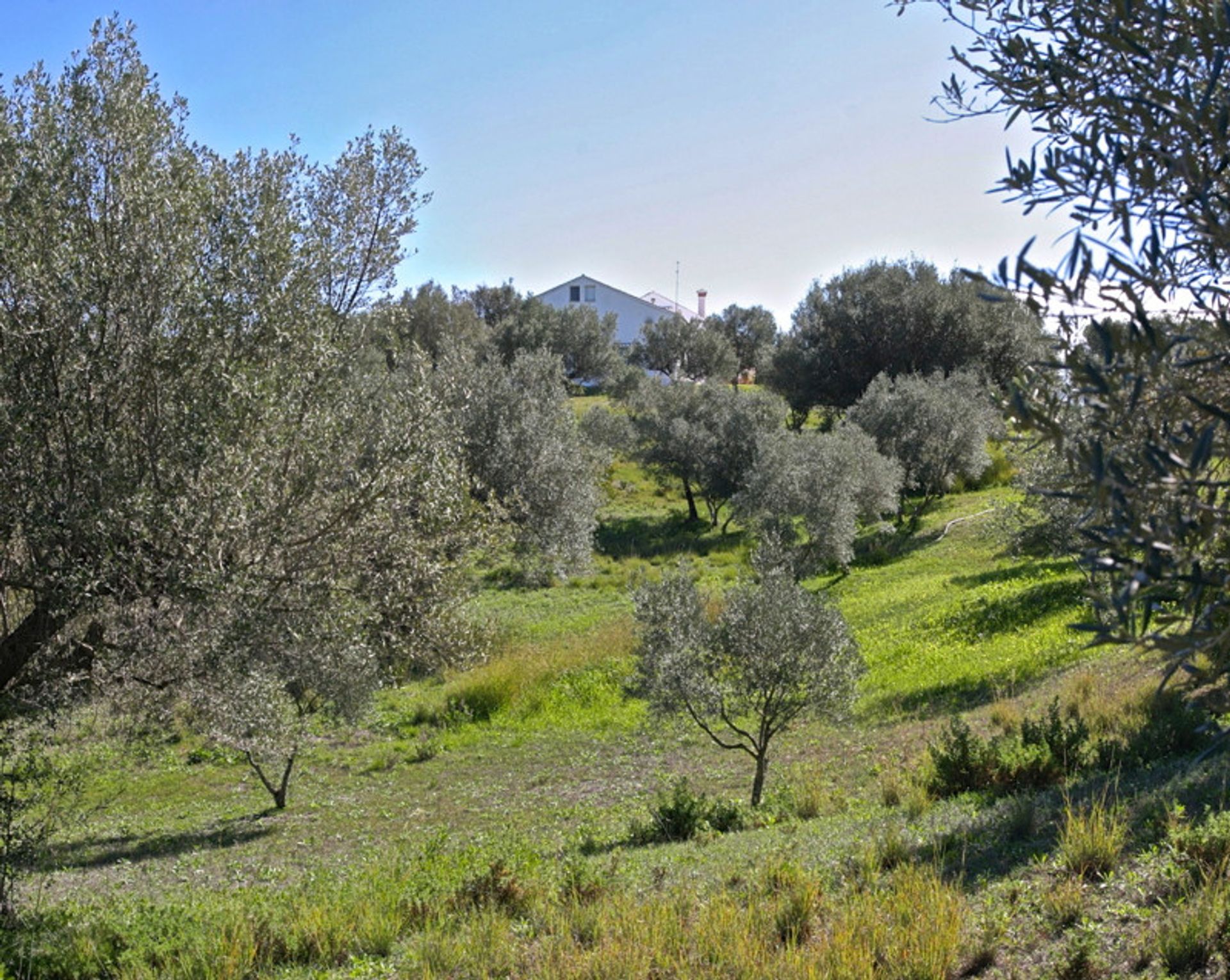 房子 在 Marbella, Andalucía 11877077