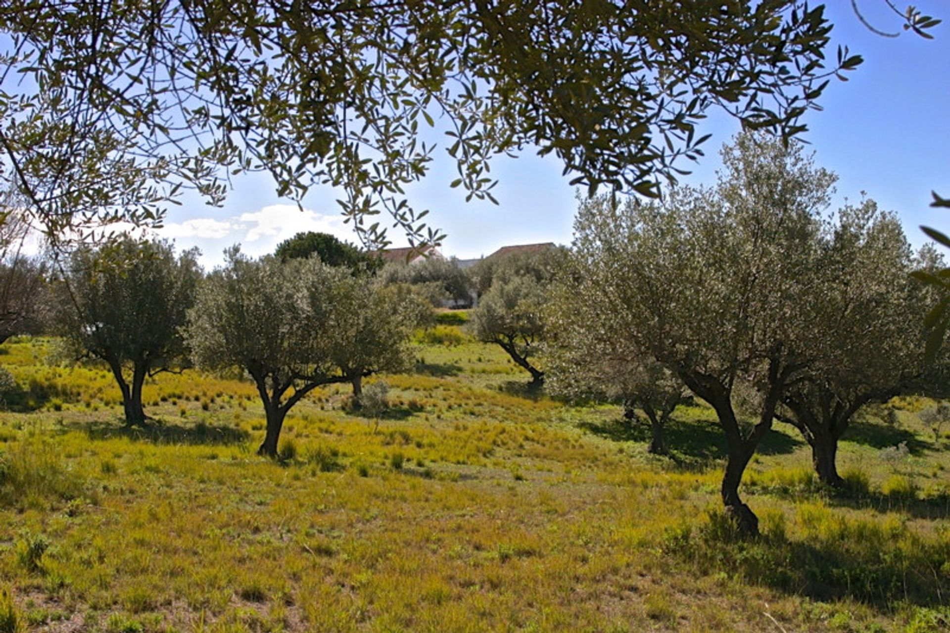 σπίτι σε Marbella, Andalucía 11877077