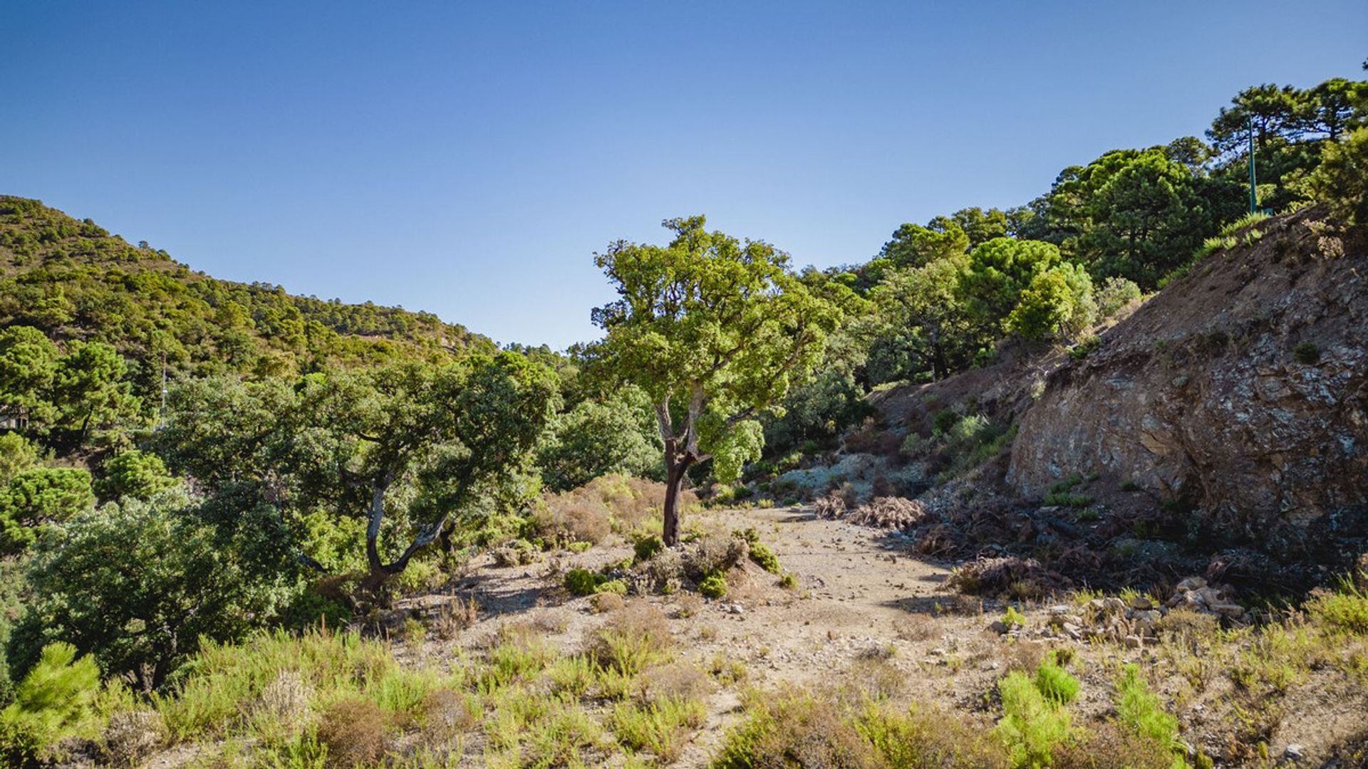 Land im , Andalucía 11877235