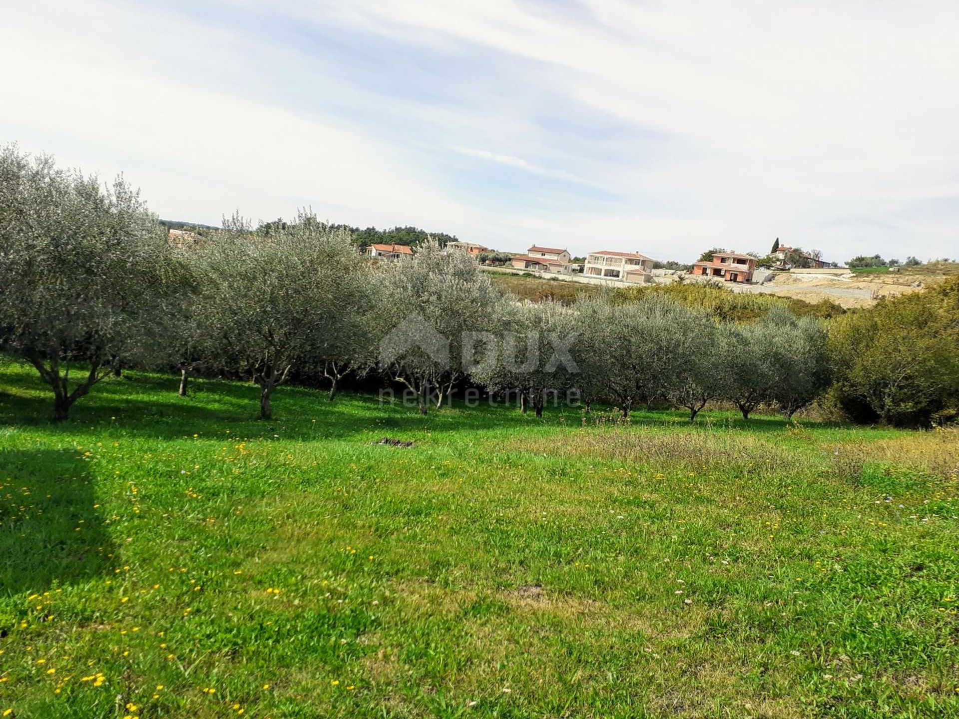 Tierra en Vižinada, Istria County 11877938