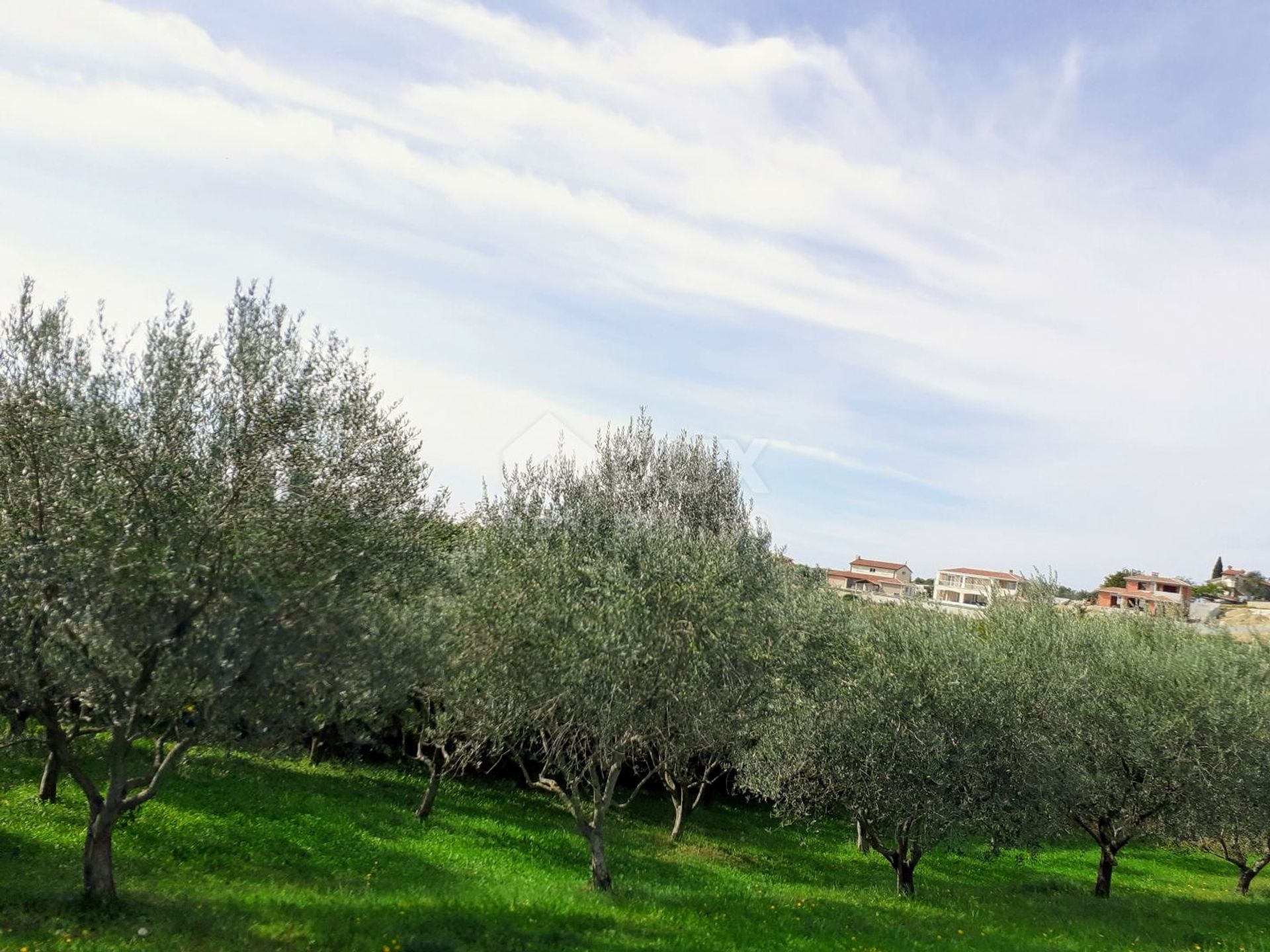 Tierra en Vižinada, Istria County 11877938