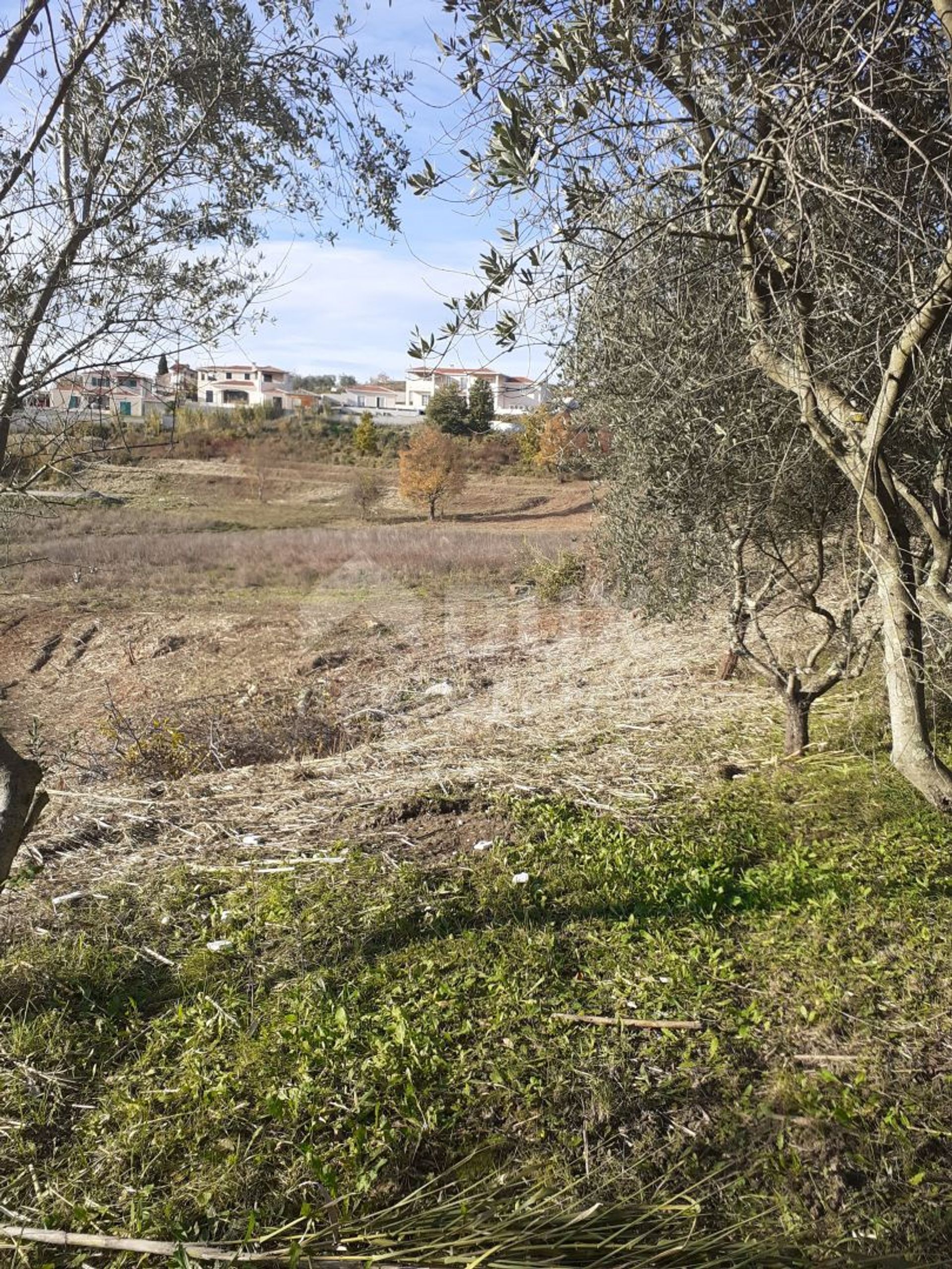 Tierra en Vižinada, Istria County 11877938