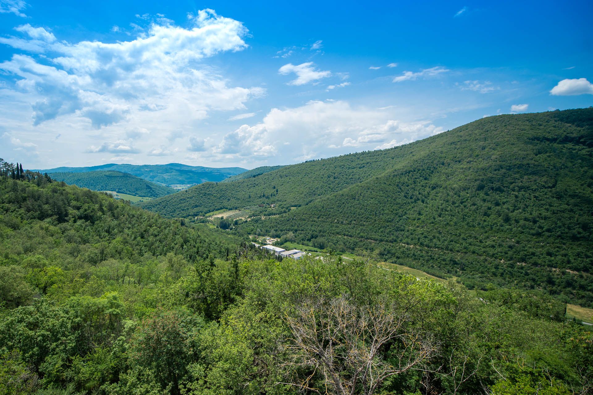 Будинок в Florence, Tuscany 11878738