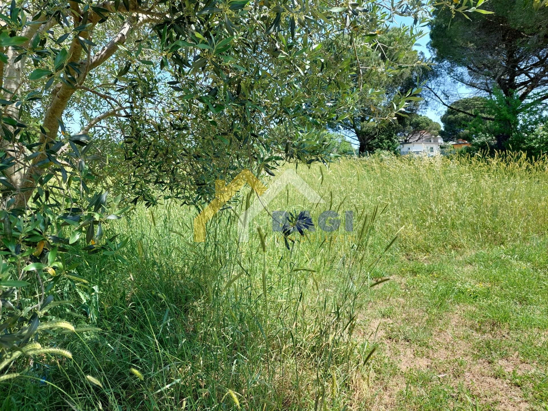 Land in Fazana, Istarska Zupanija 11880184