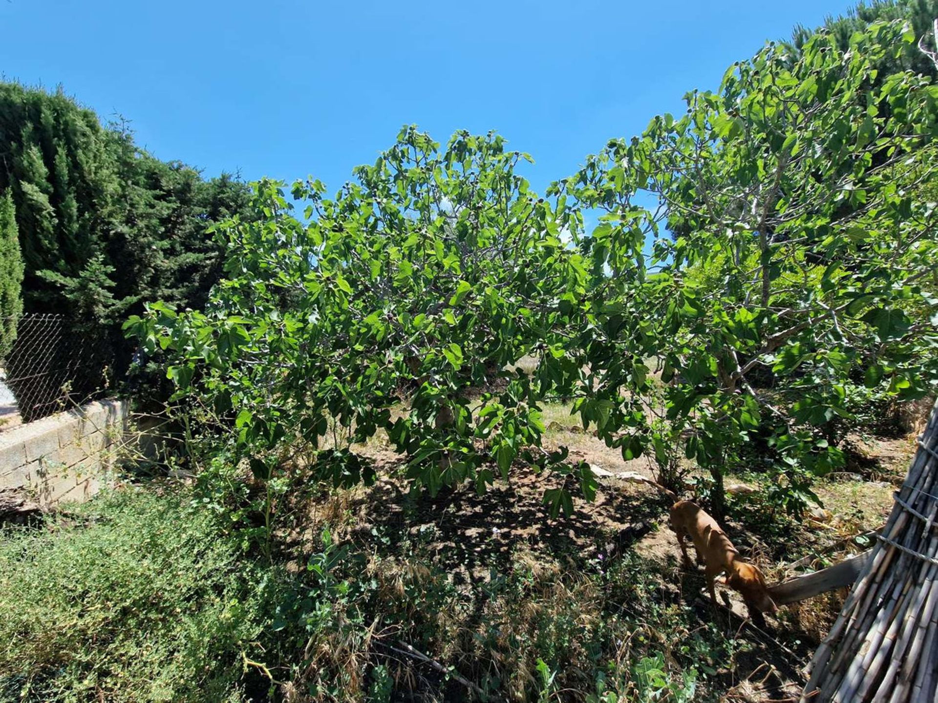 Будинок в Alhaurín de la Torre, Andalusia 11881272