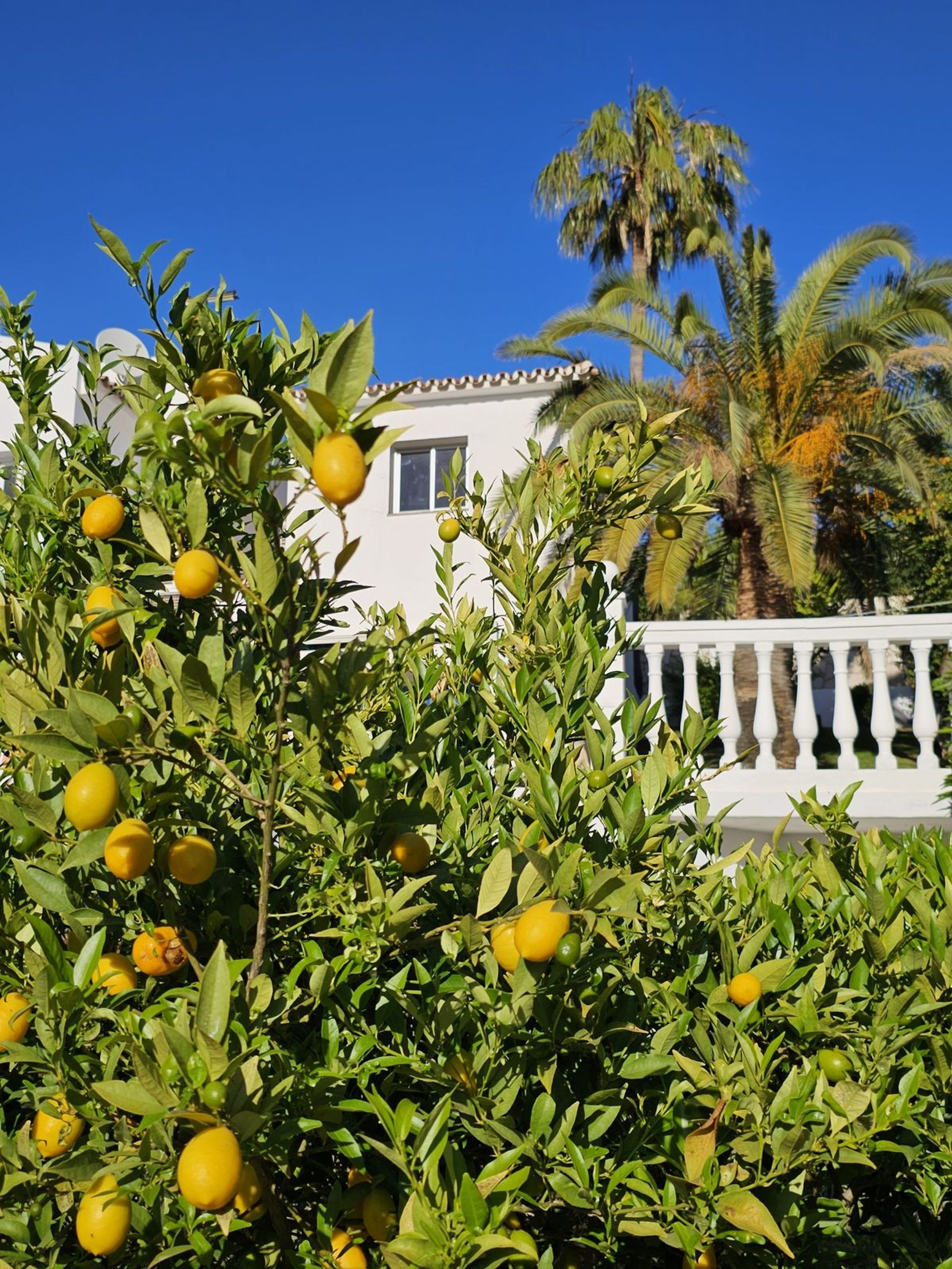 Haus im Benalmádena, Andalucía 11881604