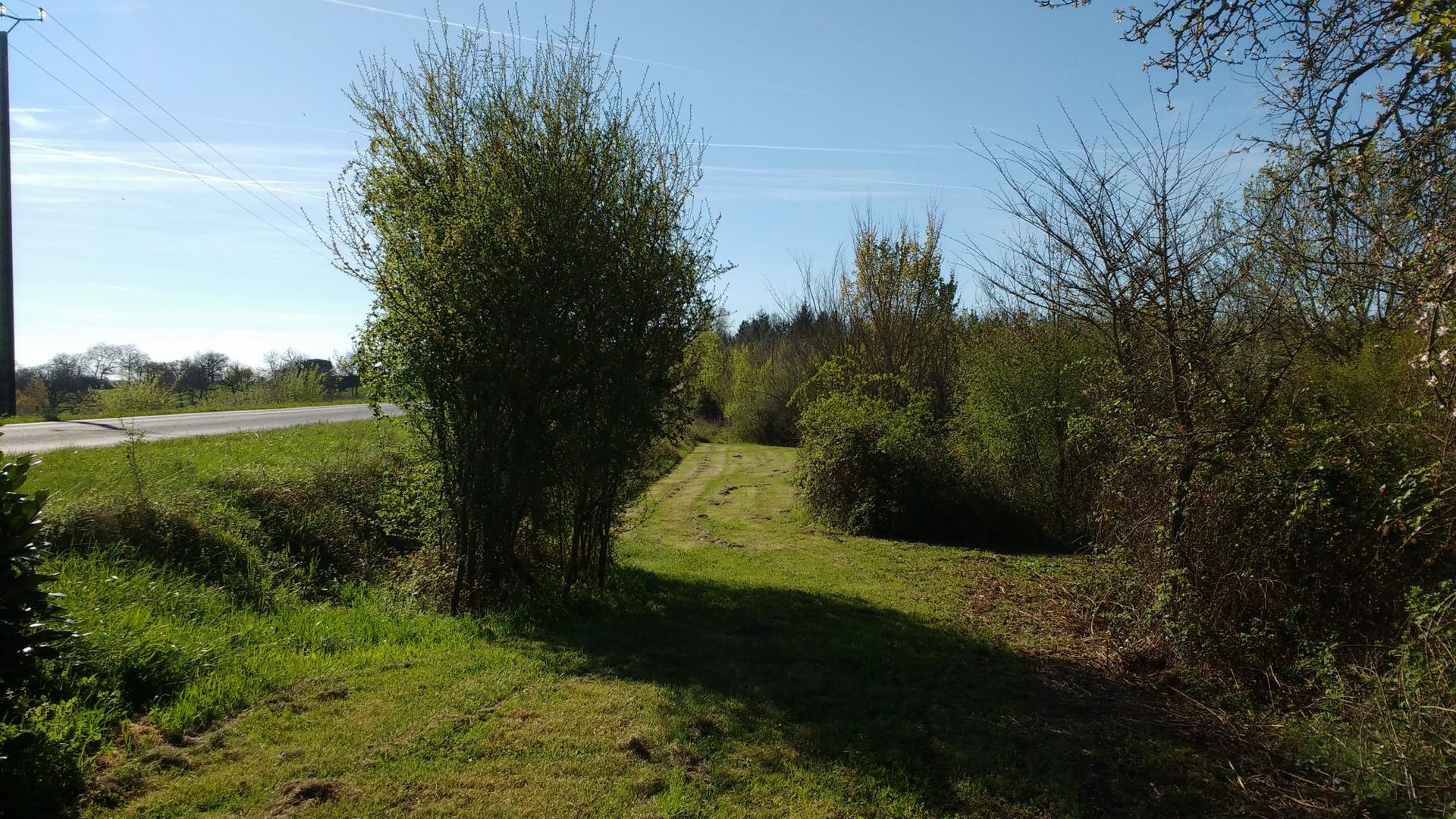 casa en Manciet, Occitanie 11882396