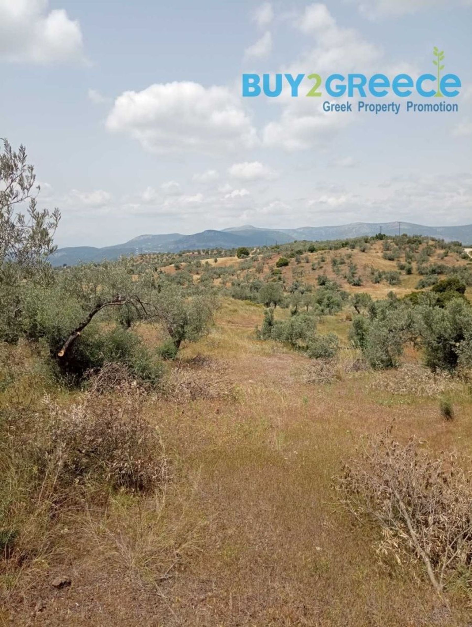 Land i Kranidi, Peloponnisos 11882522