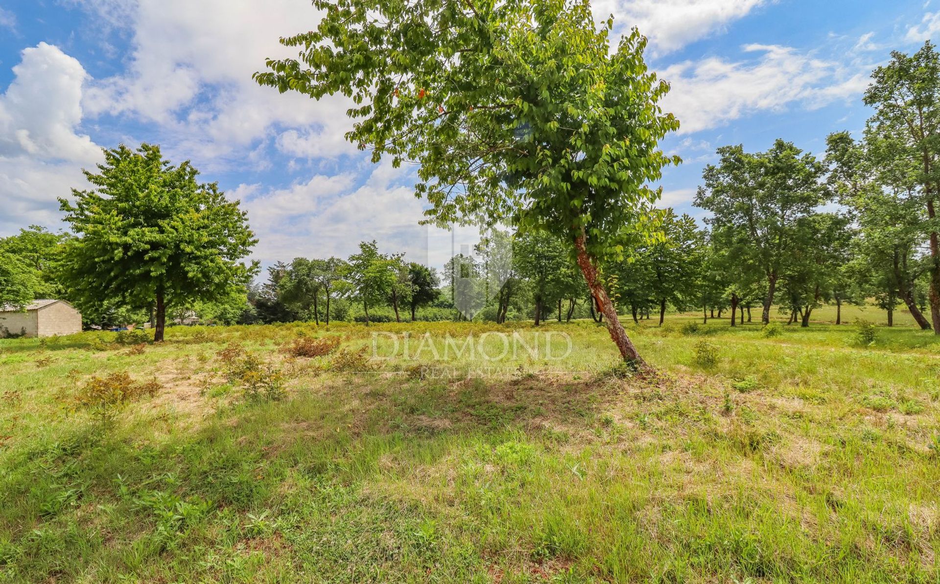 Land im Poreč, Istria County 11884440