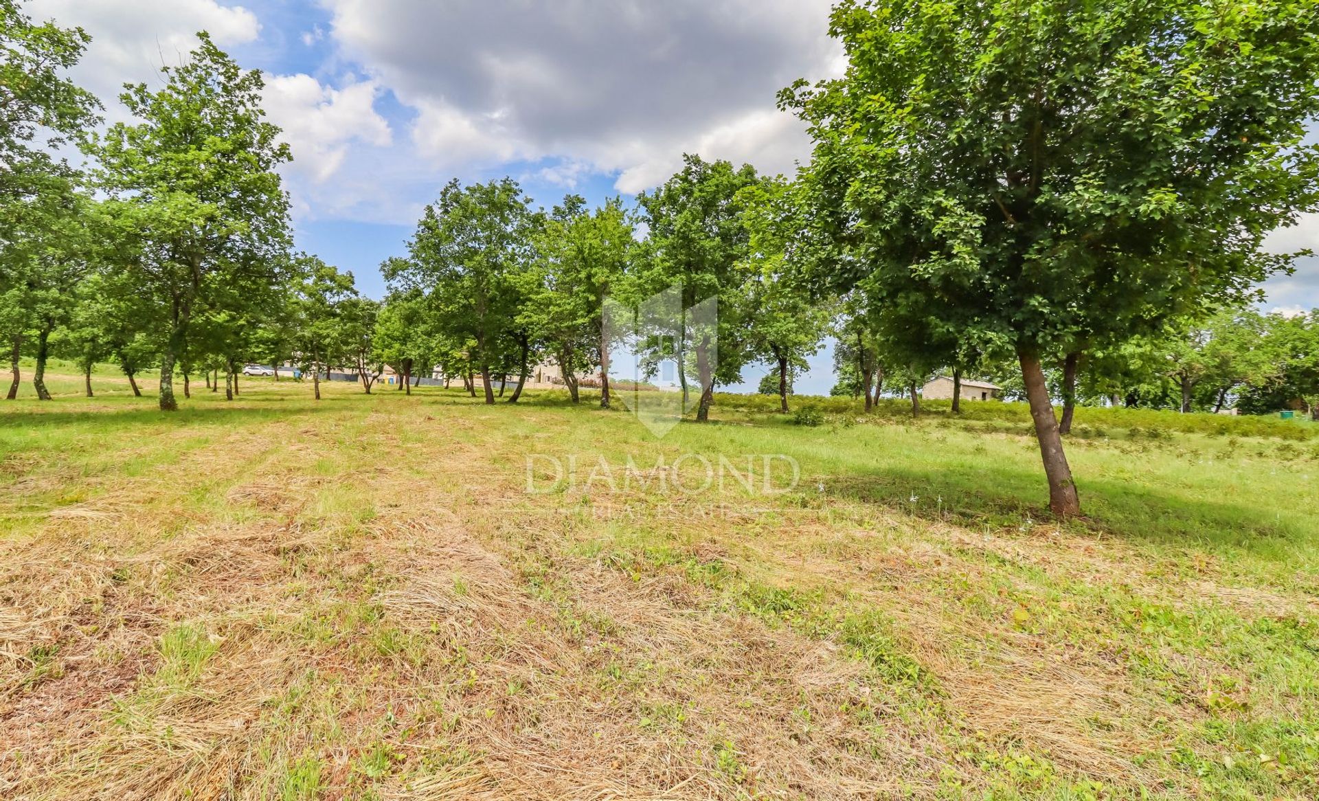 Land im Poreč, Istria County 11884440