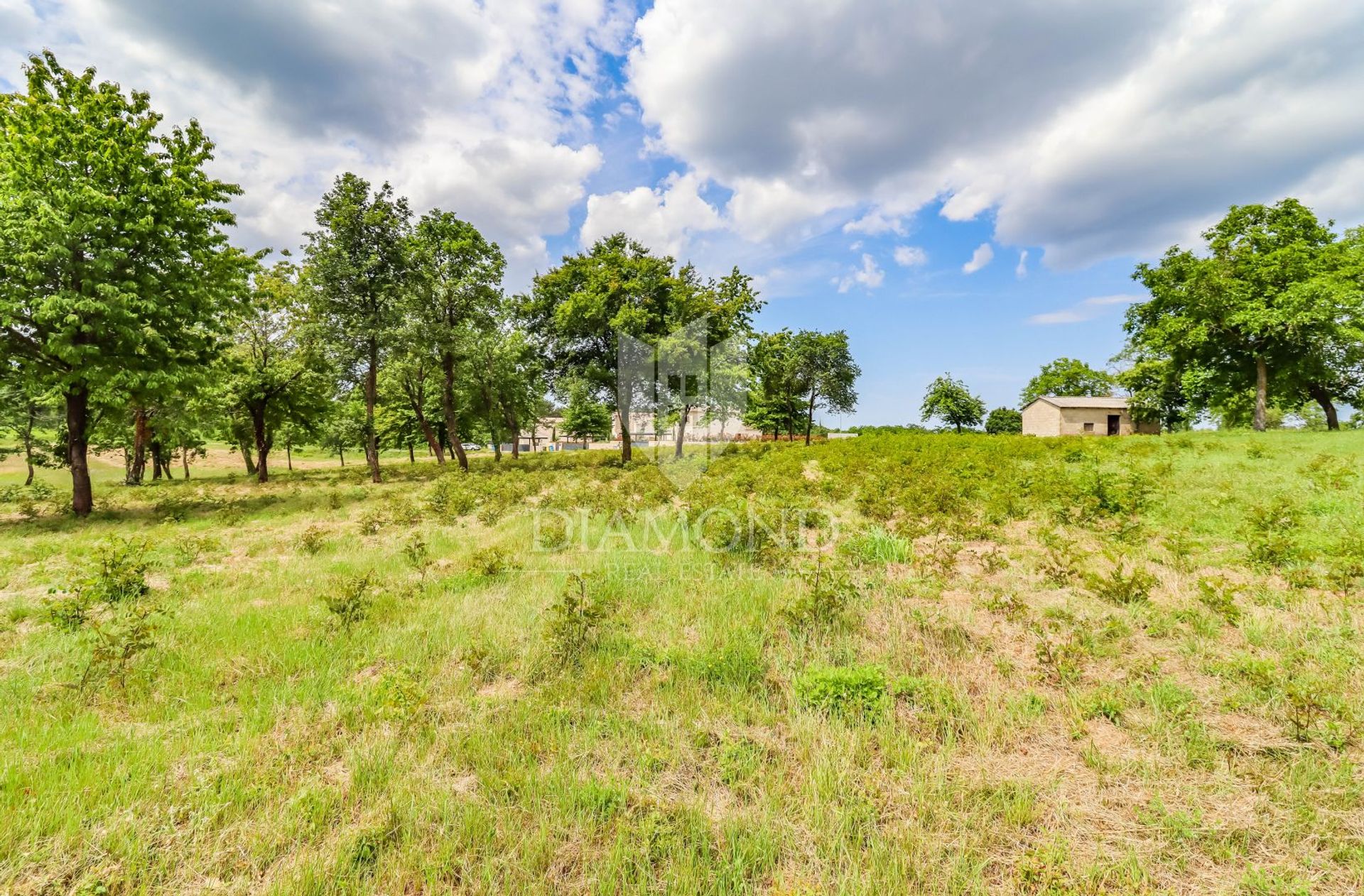 Land in Porec, Istarska Zupanija 11884442