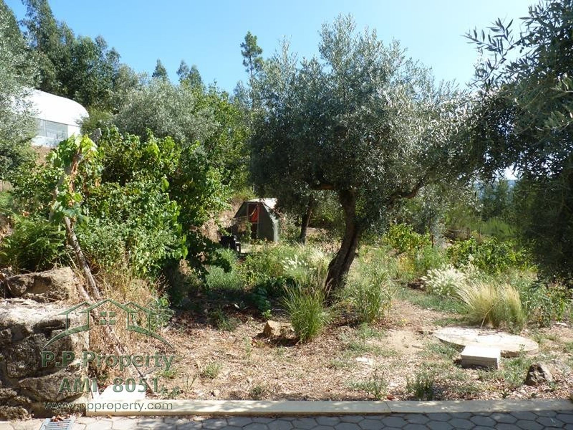 Будинок в Figueiró dos Vinhos, Leiria 11884646