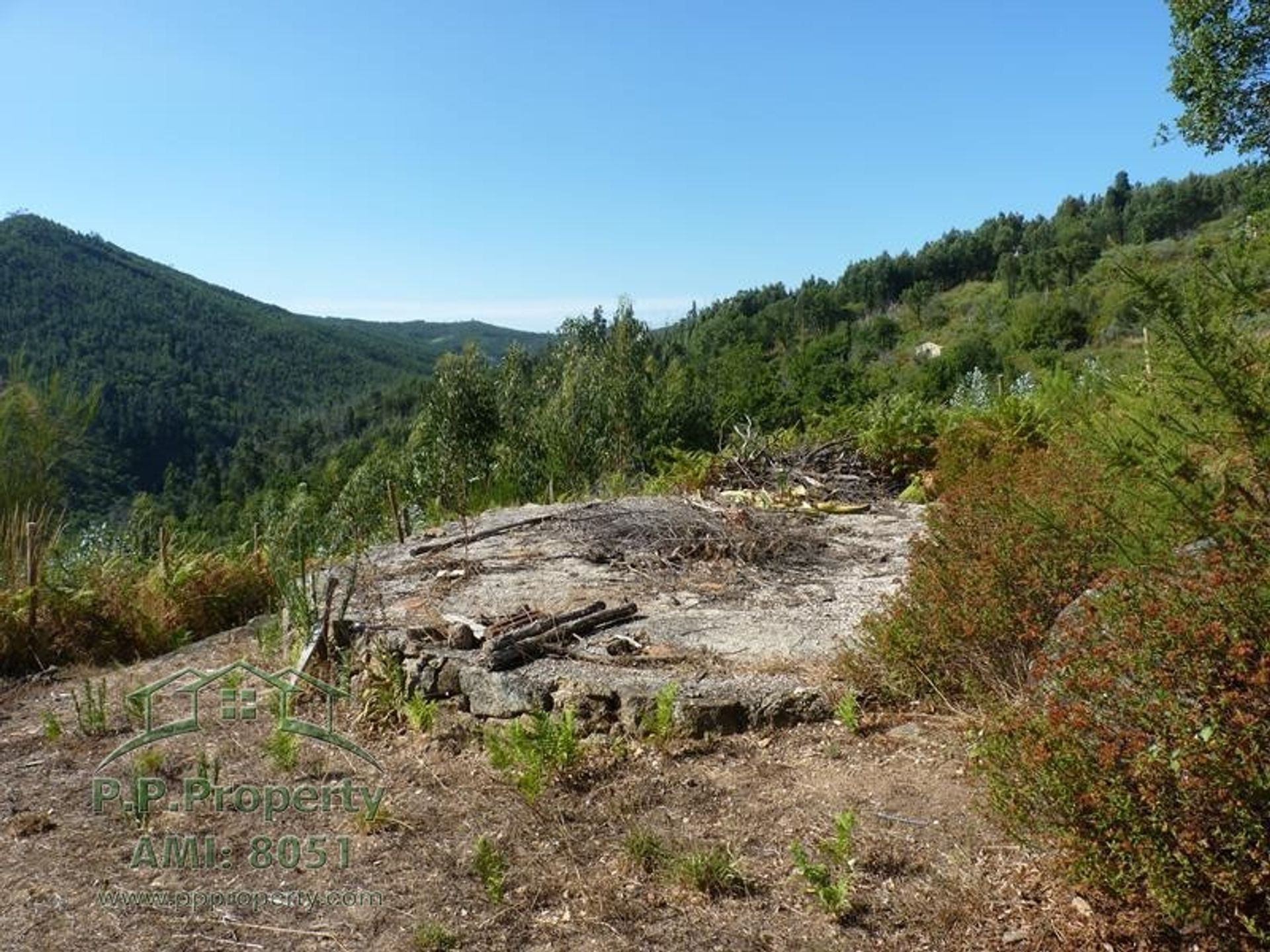 Будинок в Figueiró dos Vinhos, Leiria 11884646