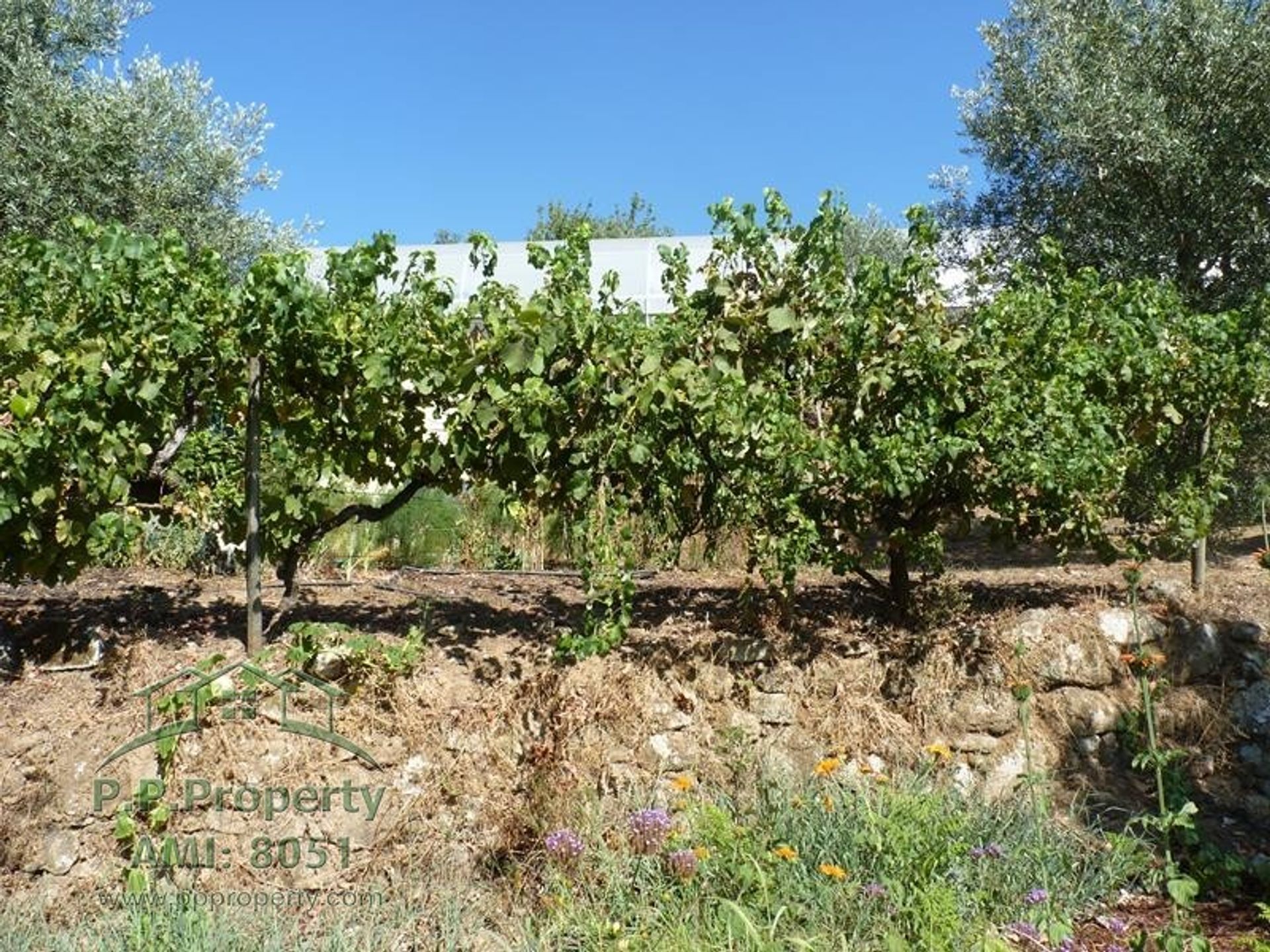 Будинок в Figueiró dos Vinhos, Leiria 11884646