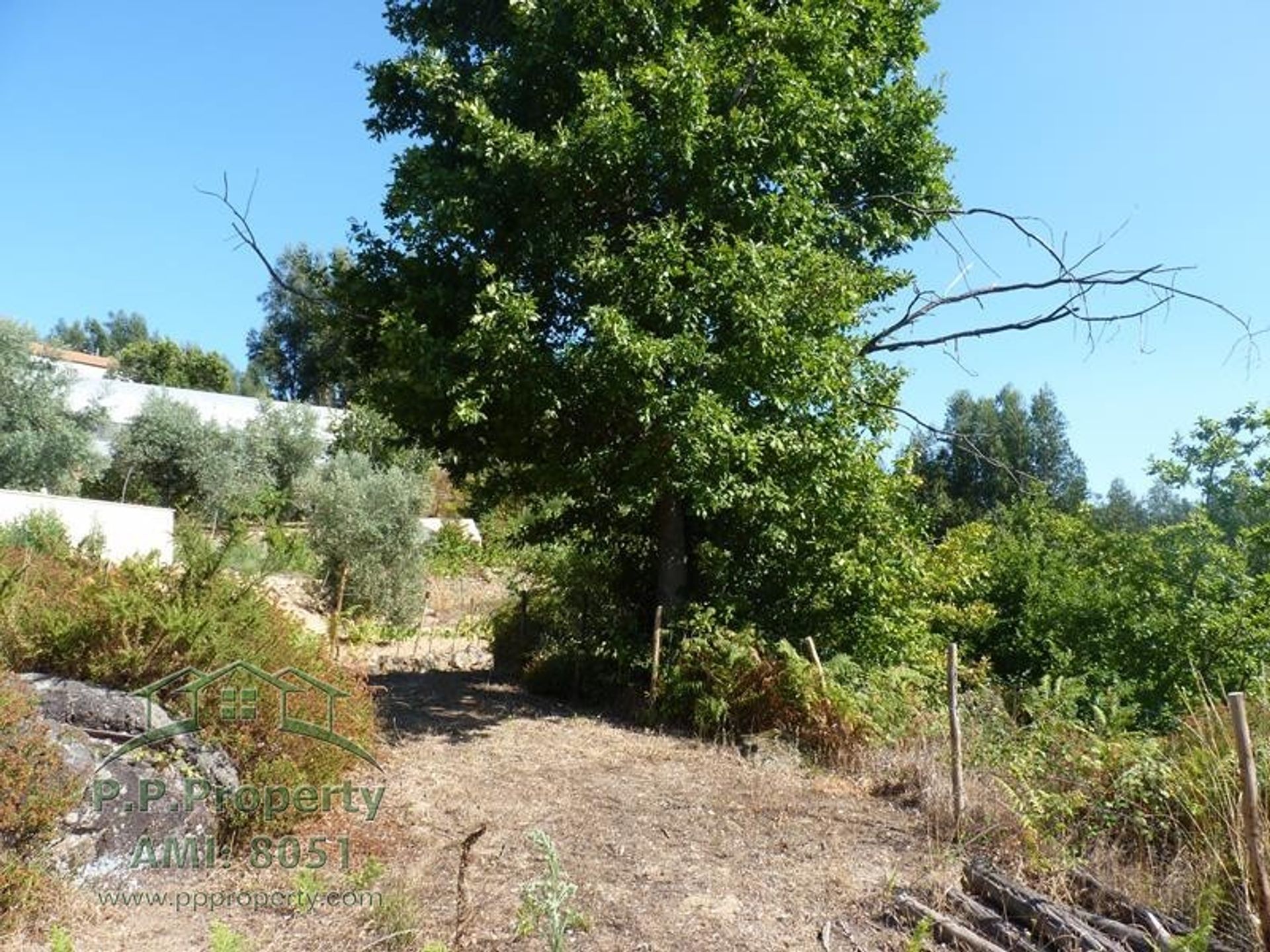 Будинок в Figueiró dos Vinhos, Leiria 11884646