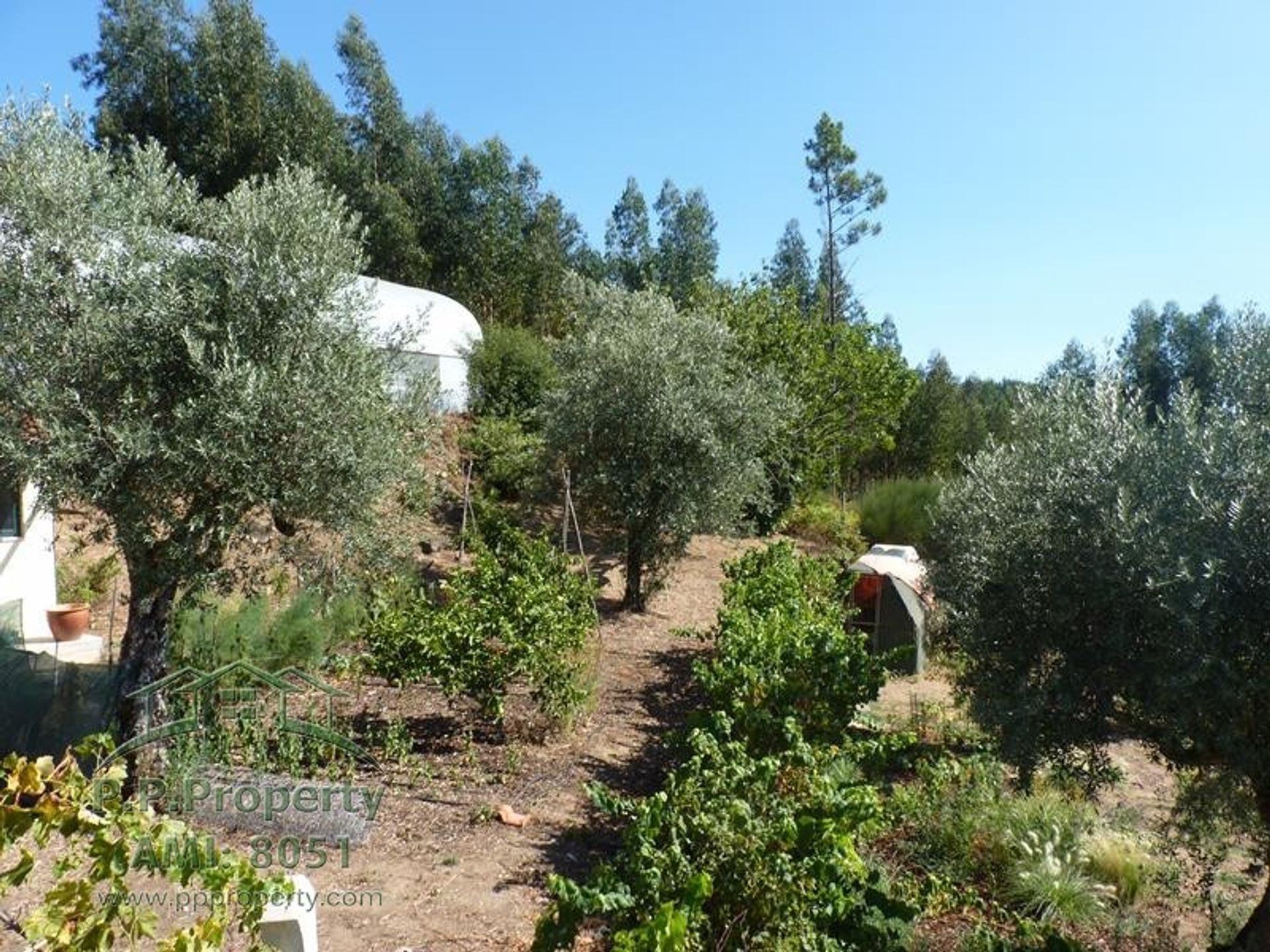 Будинок в Figueiró dos Vinhos, Leiria 11884646