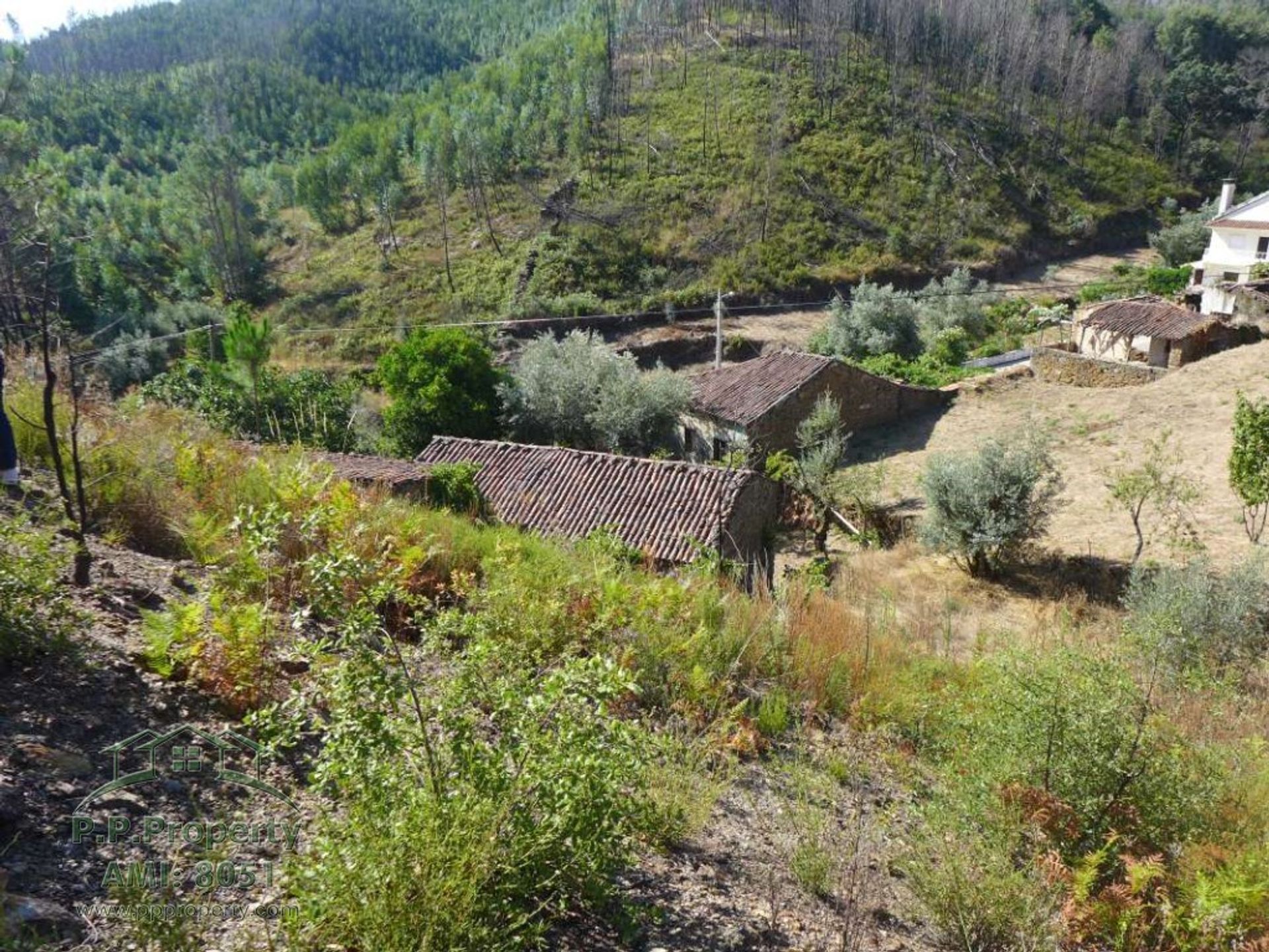 房子 在 Figueiró dos Vinhos, Leiria 11884653