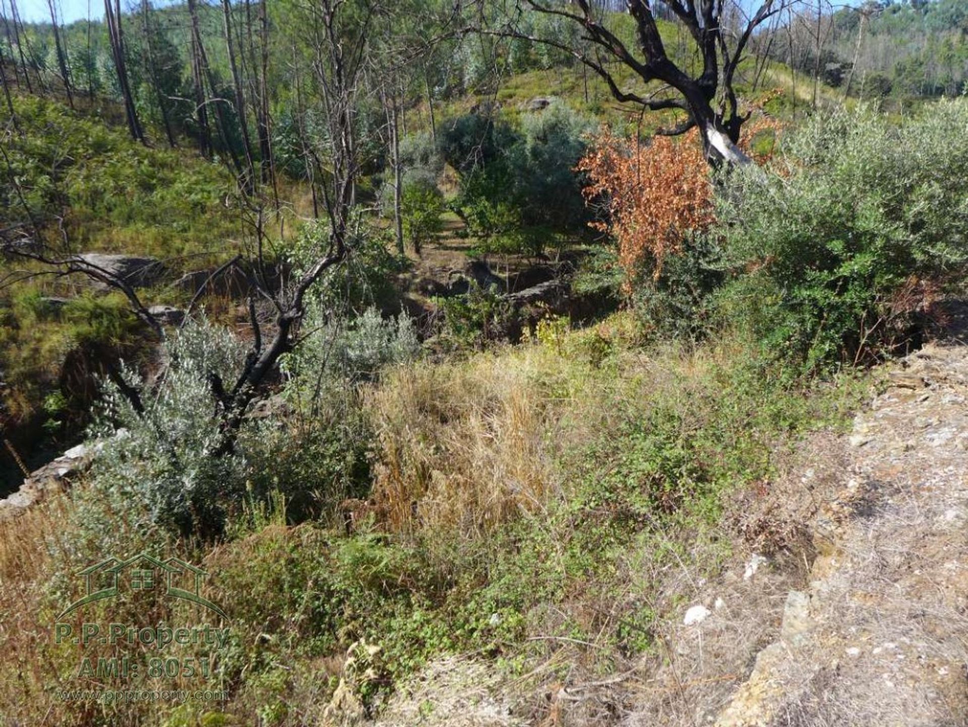 房子 在 Figueiró dos Vinhos, Leiria 11884653