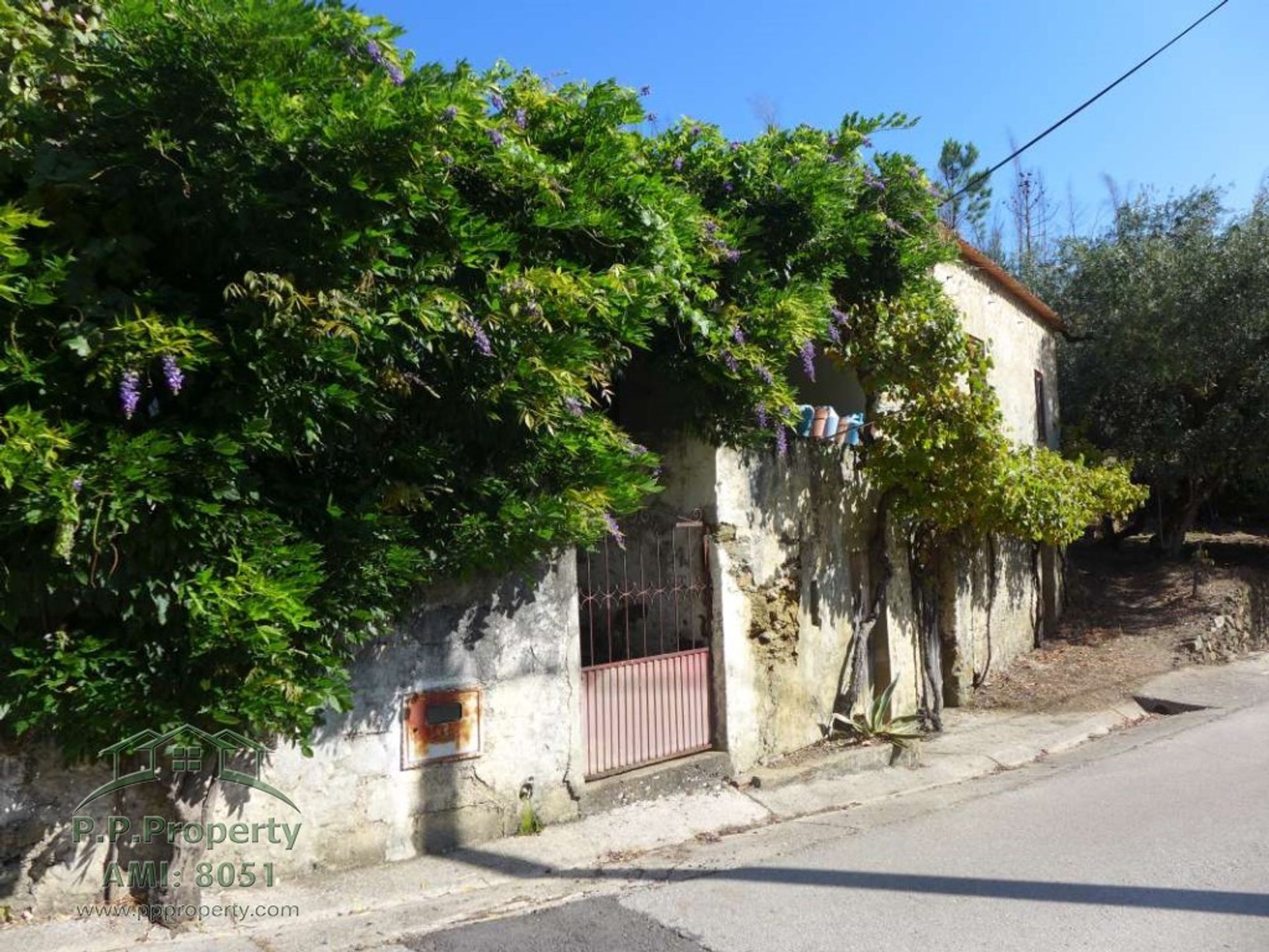 Hus i Figueiró dos Vinhos, Leiria 11884653